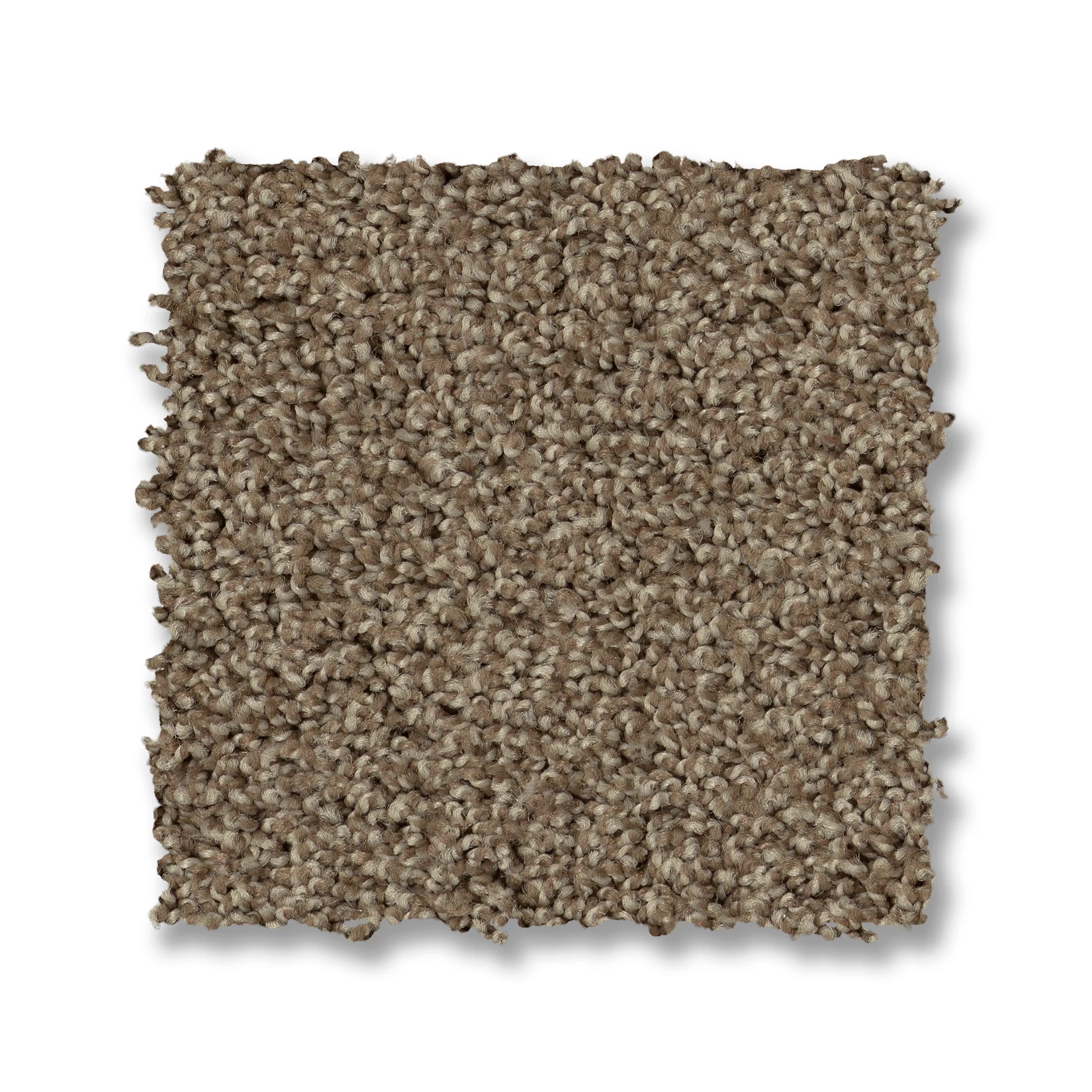 PARK HAVEN CANYON TRAIL SWATCH