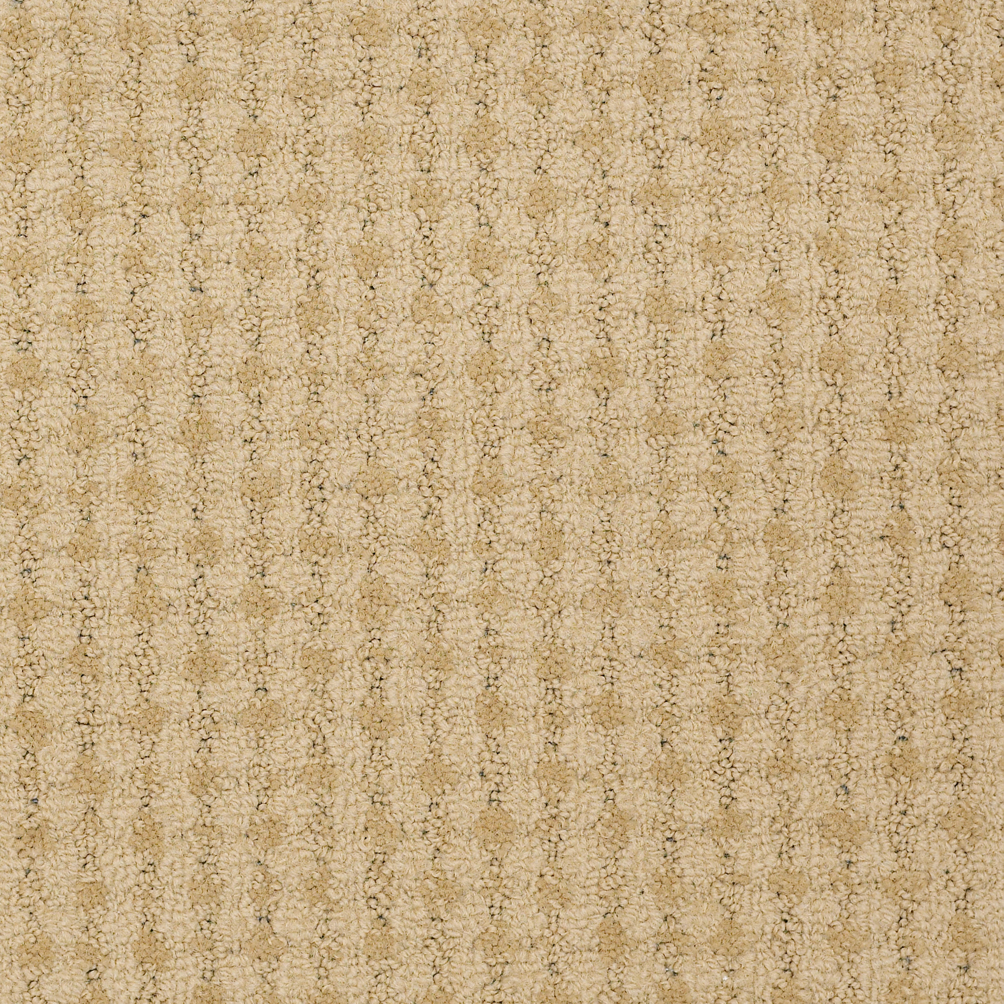 METRO-LIFE-54411-CONVENTION-HALL-11201-main-image