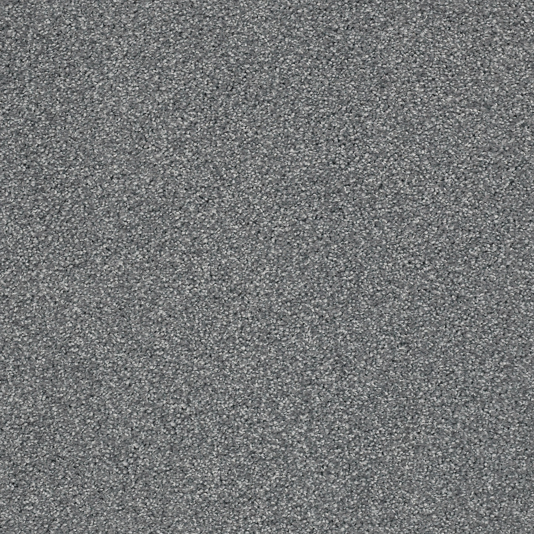 ALWAYS READY II HARBOR MAIN