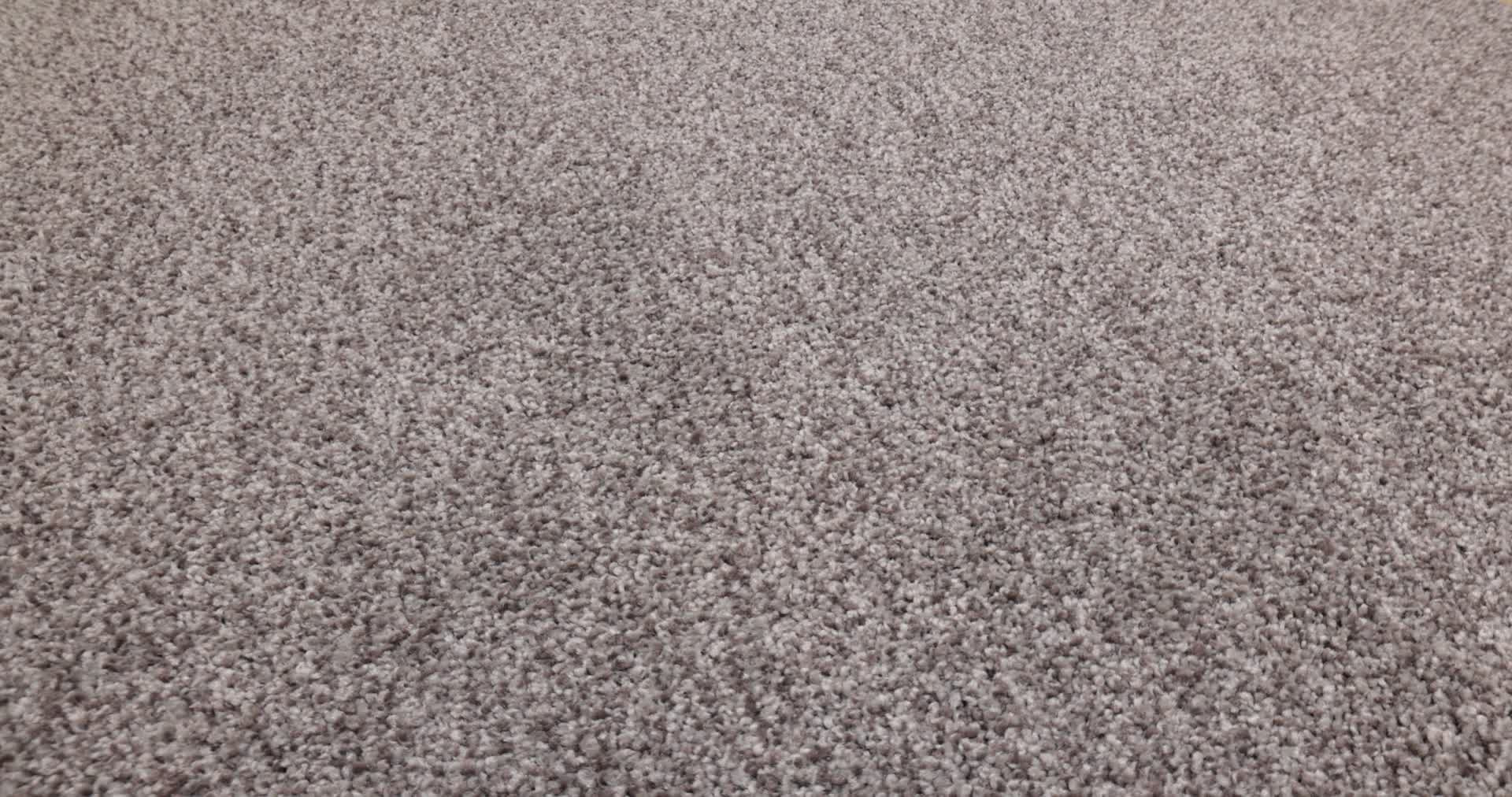 TONAL COMFORT I FRENCH MARKET 360PROD