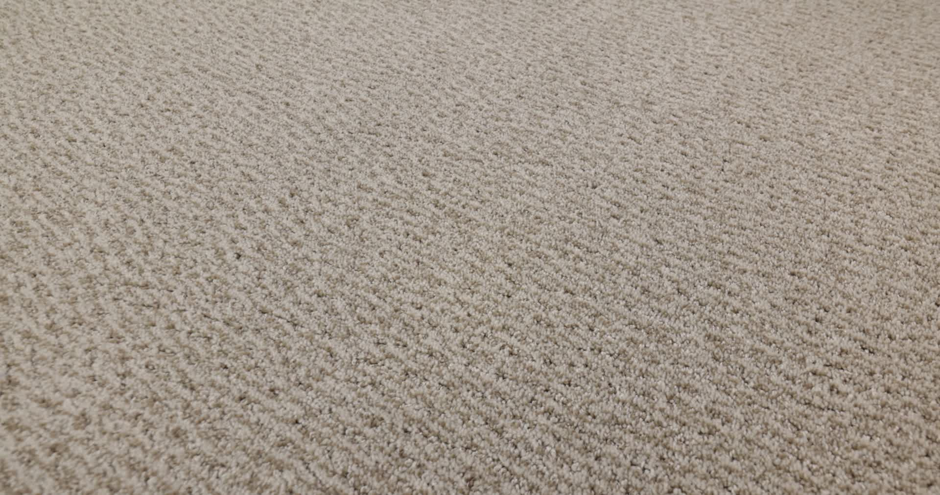 FUR-EVER BIRCH 360PROD