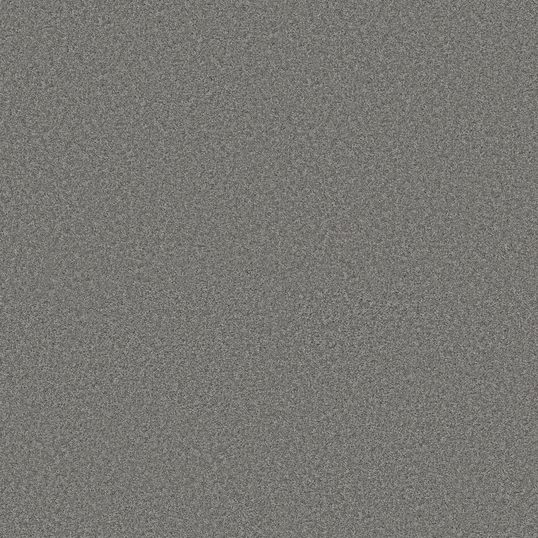 LIFE'S HIGHWAY 12 (S) SILVER BLAZE MAIN