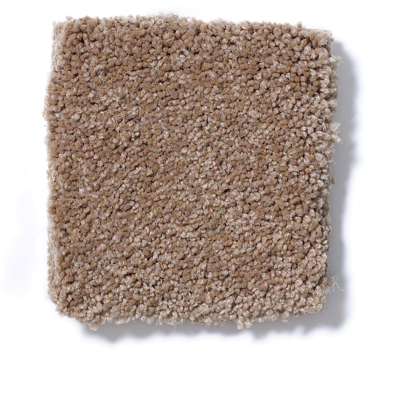 CORNER CAFE 12' MUFFIN SWATCH