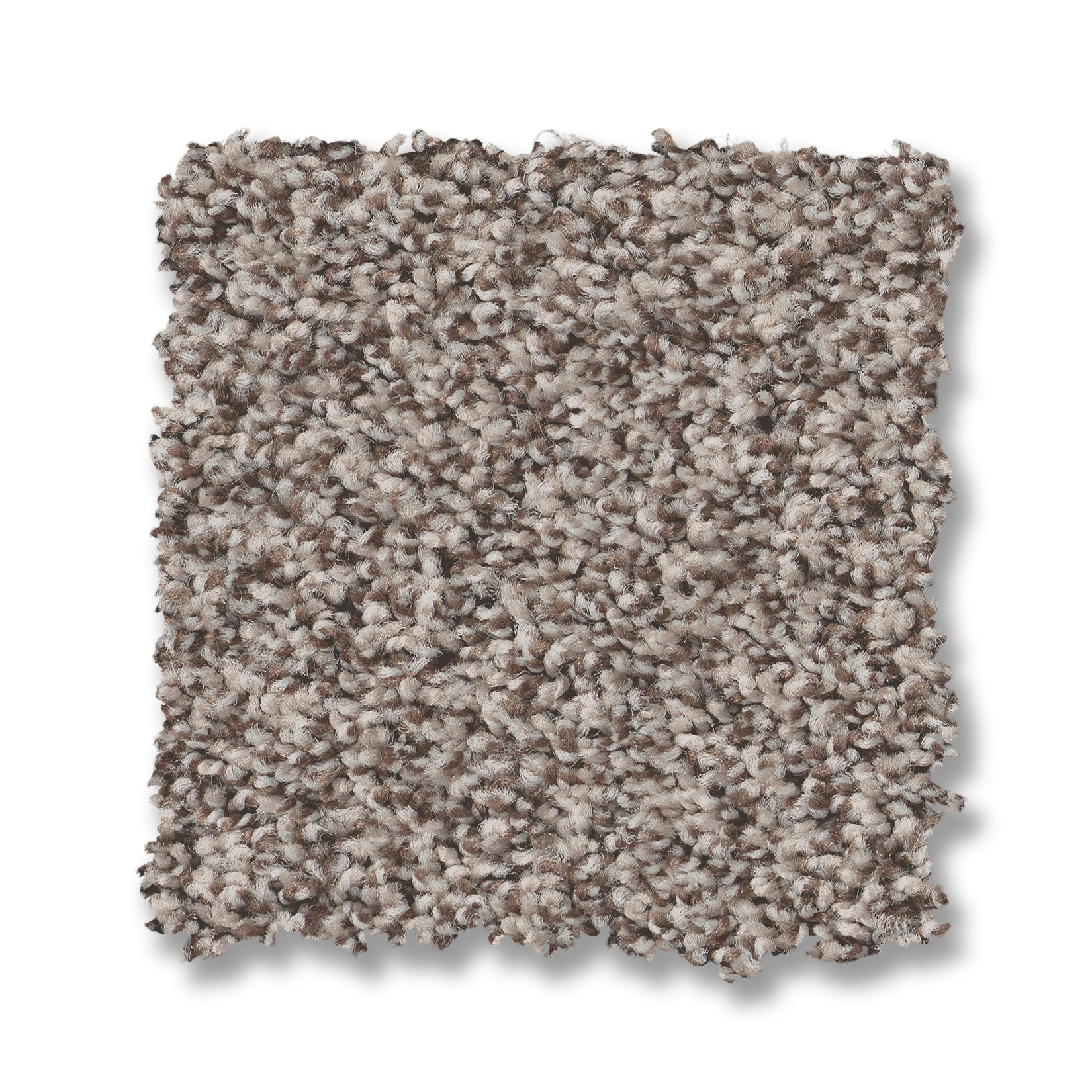 PRESCOTT VALLEY CHIC TAUPE SWATCH