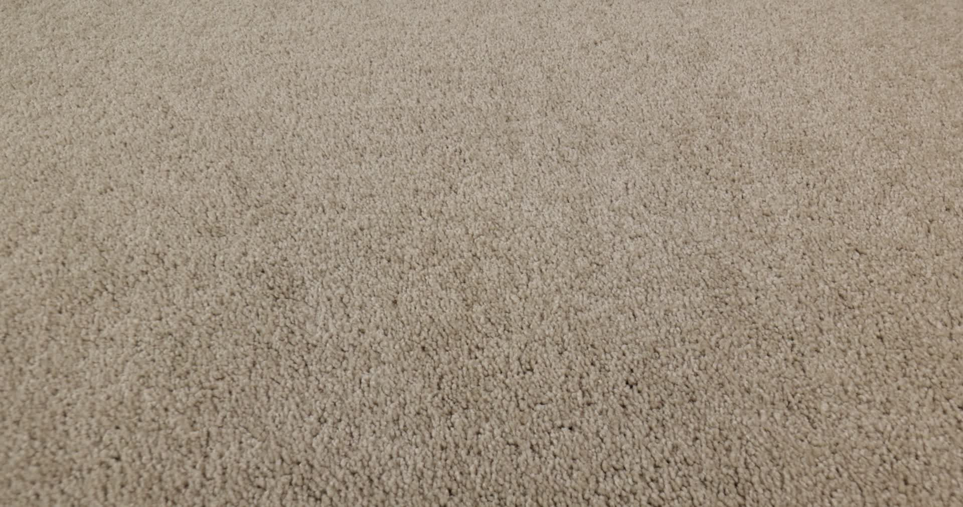 OPPORTUNITY KNOCKS FRENCH CANVAS 360PROD