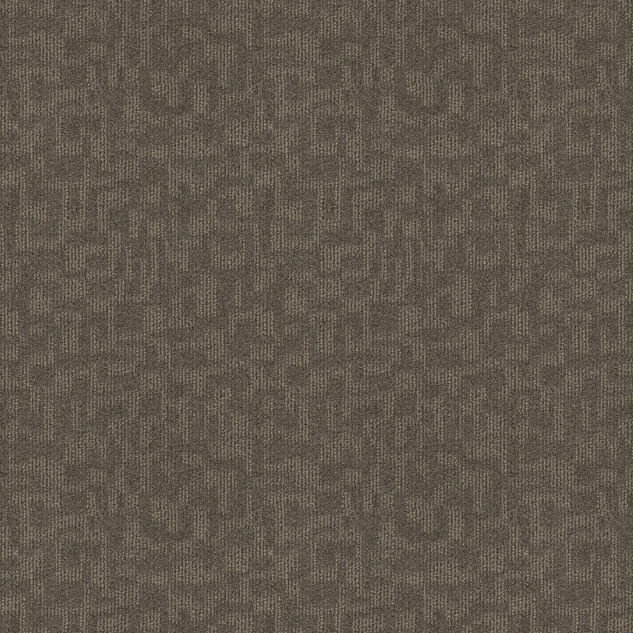 FORGE-54968-SYSTEM-00200-main-image