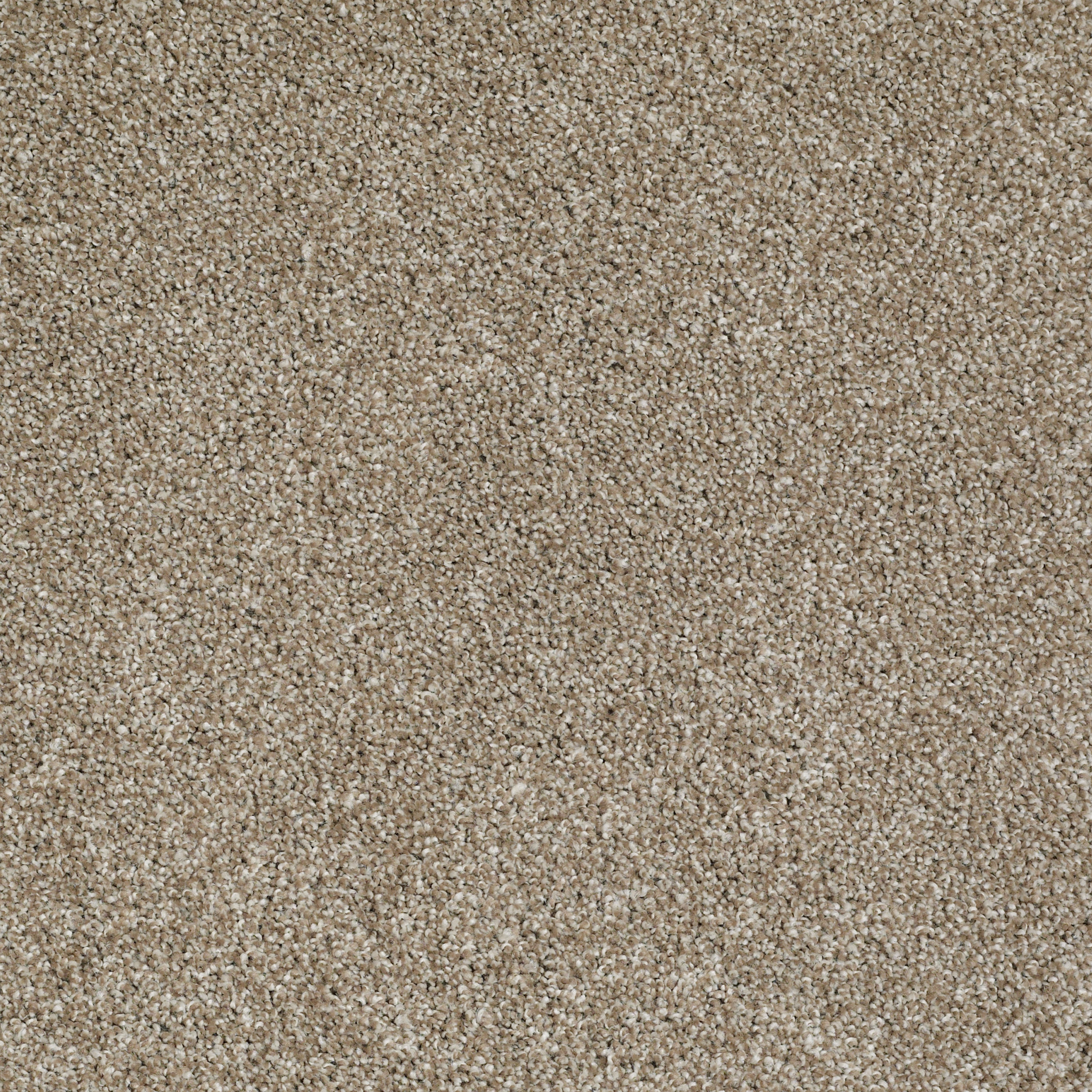 ALWAYS READY I WARMTH MAIN