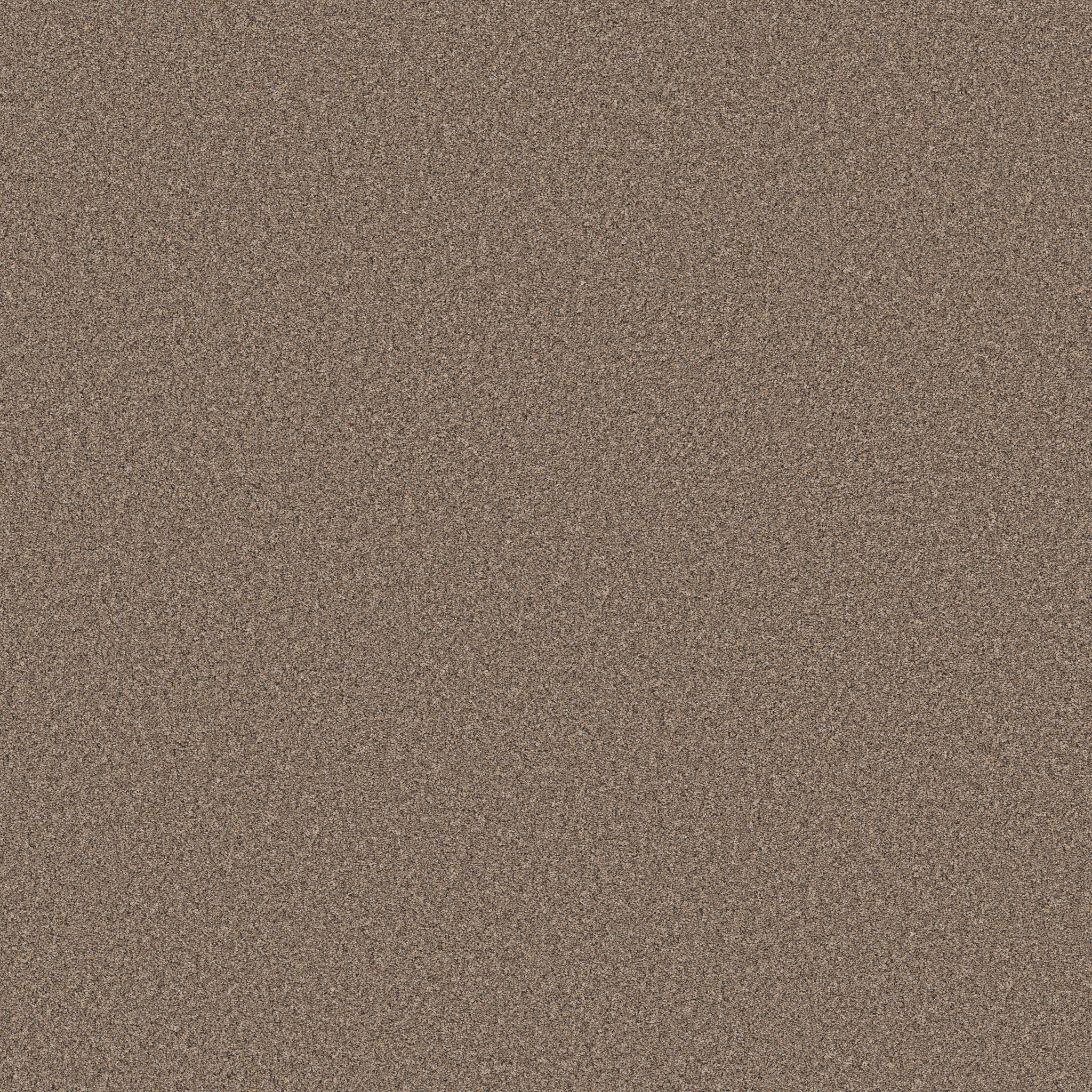 WONDERLAND II SLATE MAIN