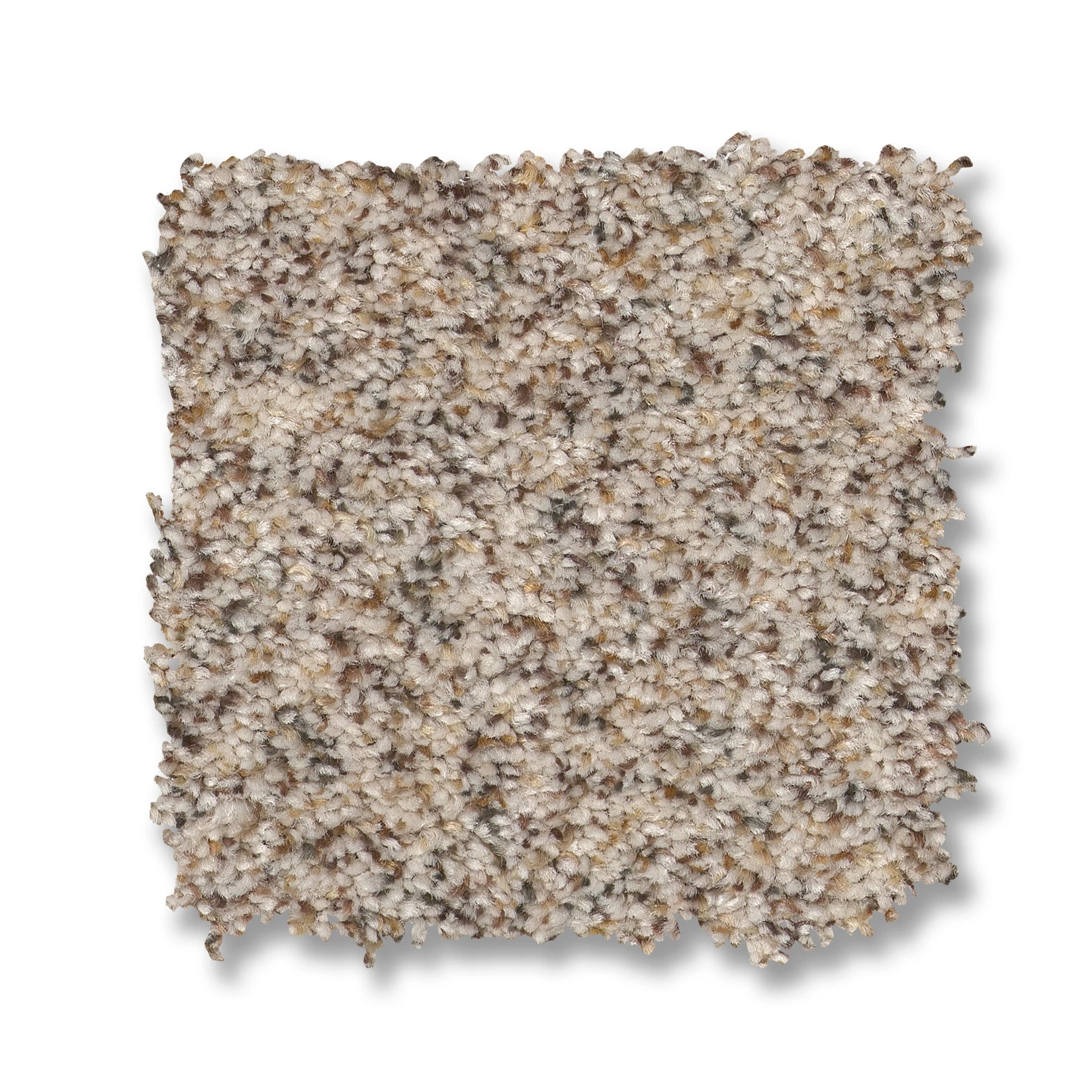 Topanga Canyon CALM IVORY SWATCH