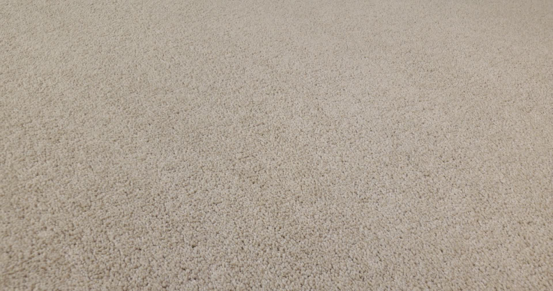 VIVID TOUCH II DUNE VIEW 360PROD