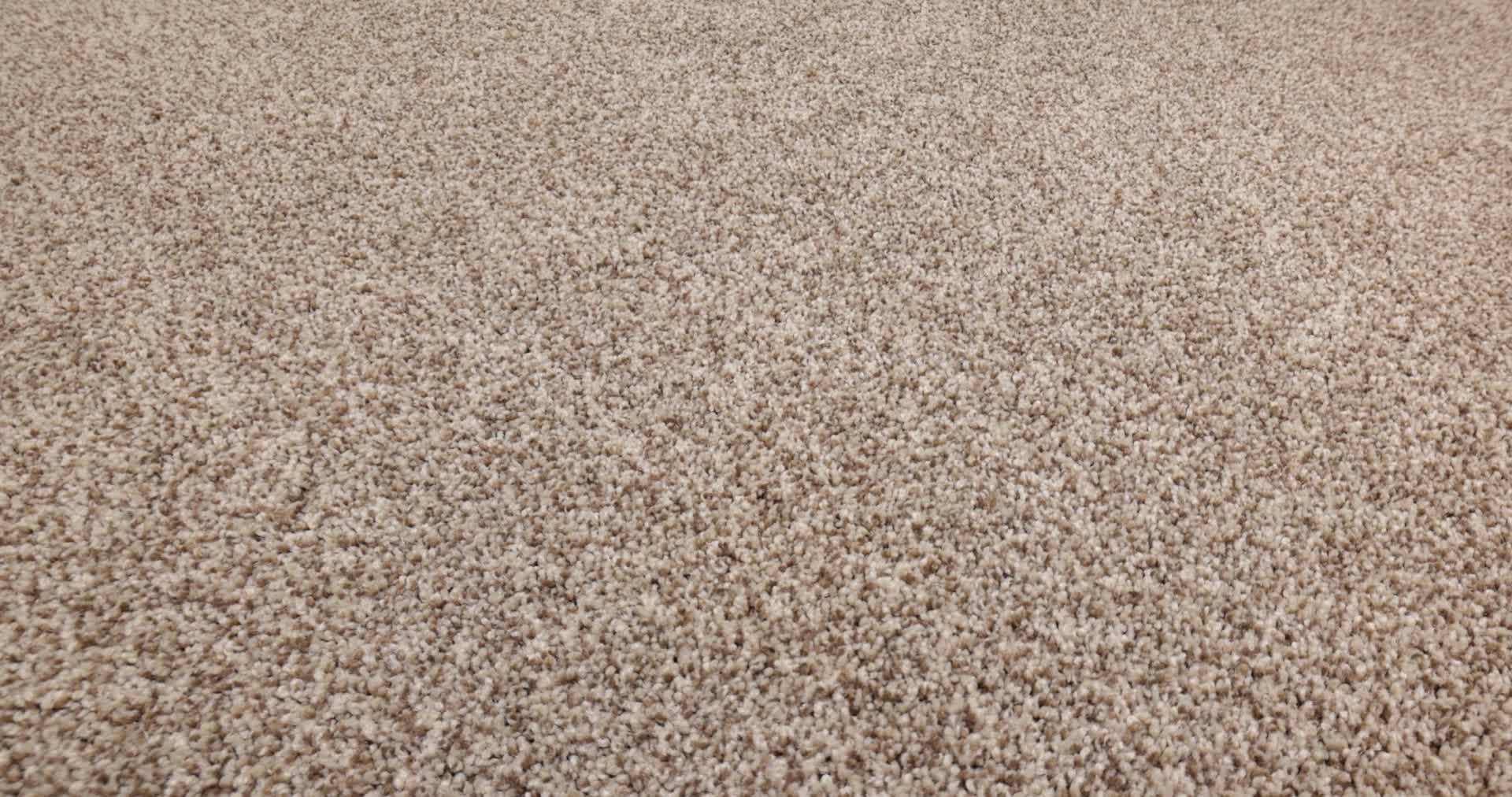 BOSSA NOVA ROASTED 360PROD