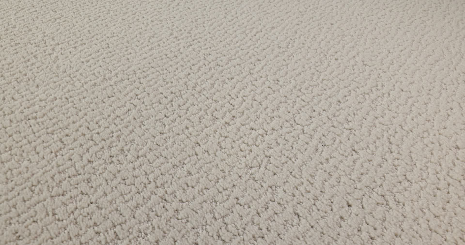 STUDIO SET SCOTCH MIST 360PROD