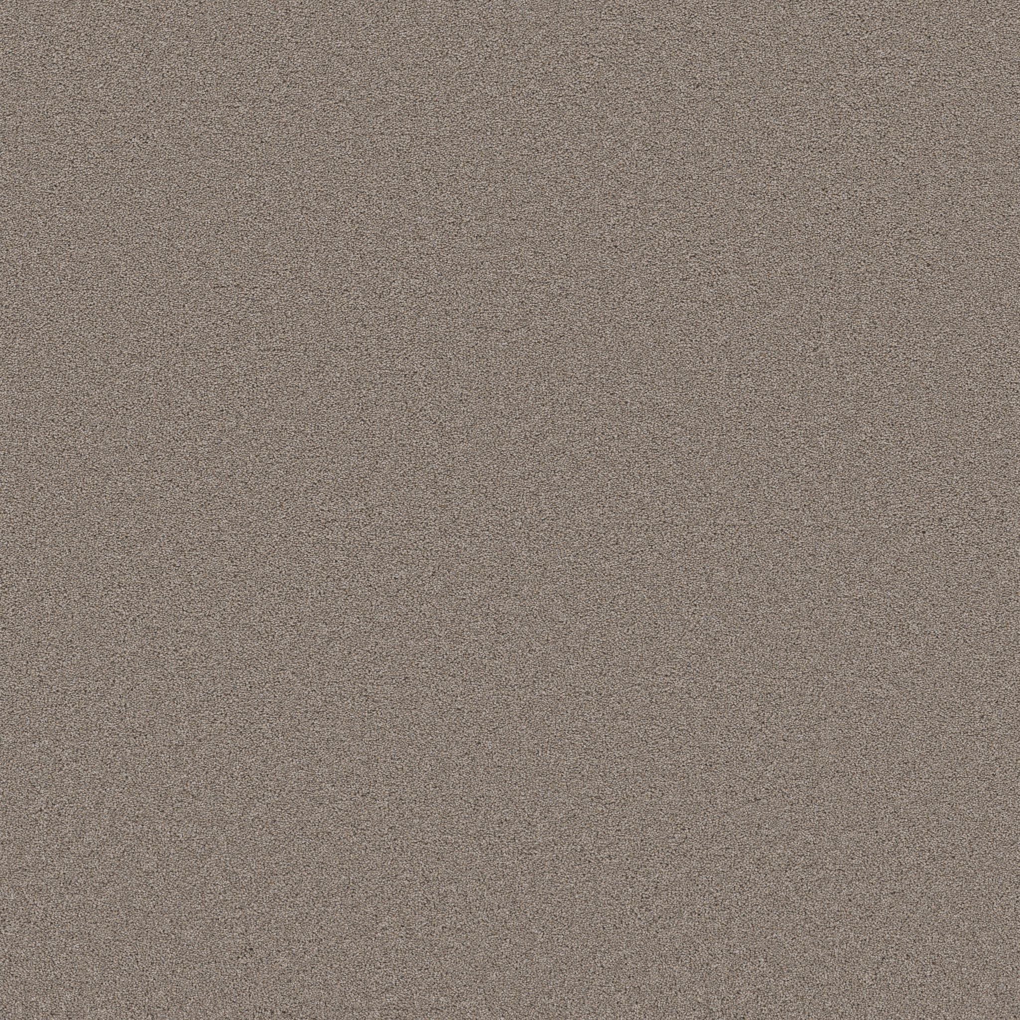 BLENDED TOUCH II MOCHA MAIN