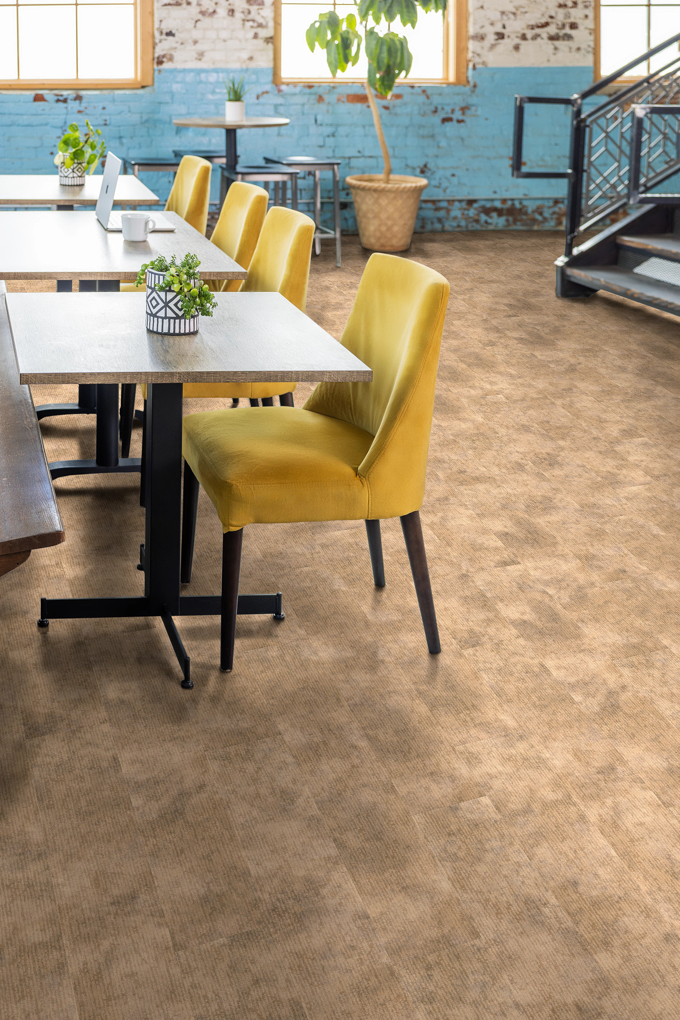 CODEX-5609V-TRANCE-00831-room-image