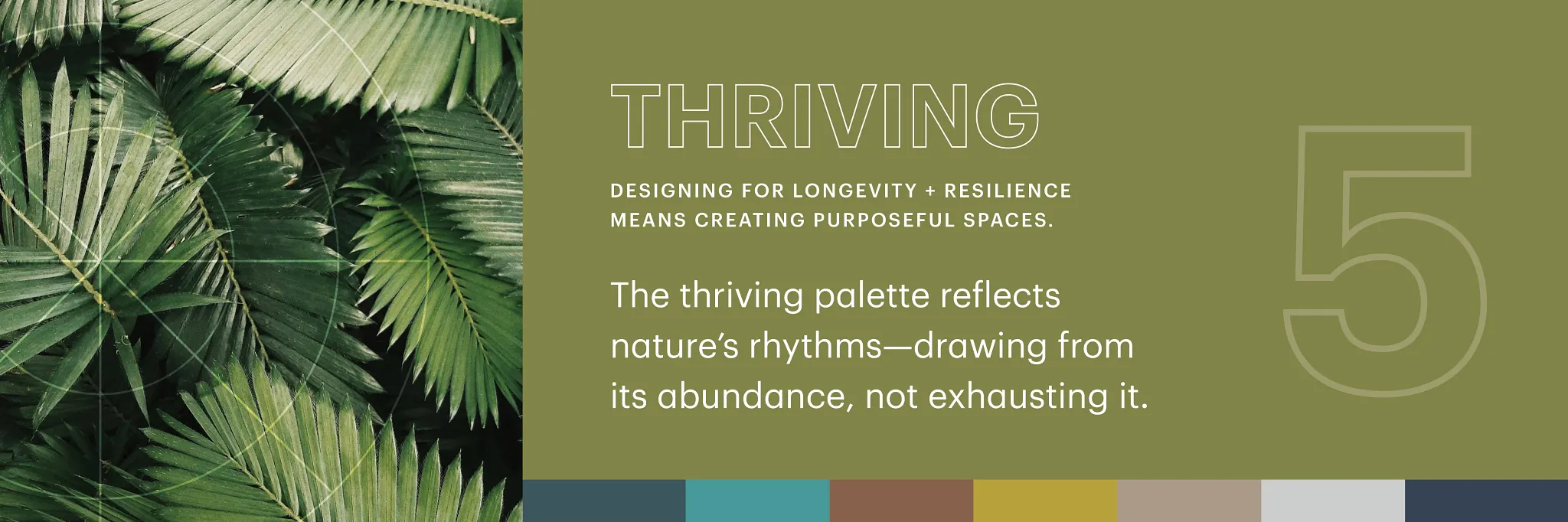 Design for All Thriving graphic 