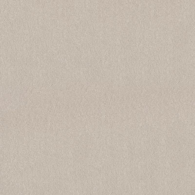 Easy Spirit III Broadloom Carpet in Iron color, 15ft width, 100% polyester material