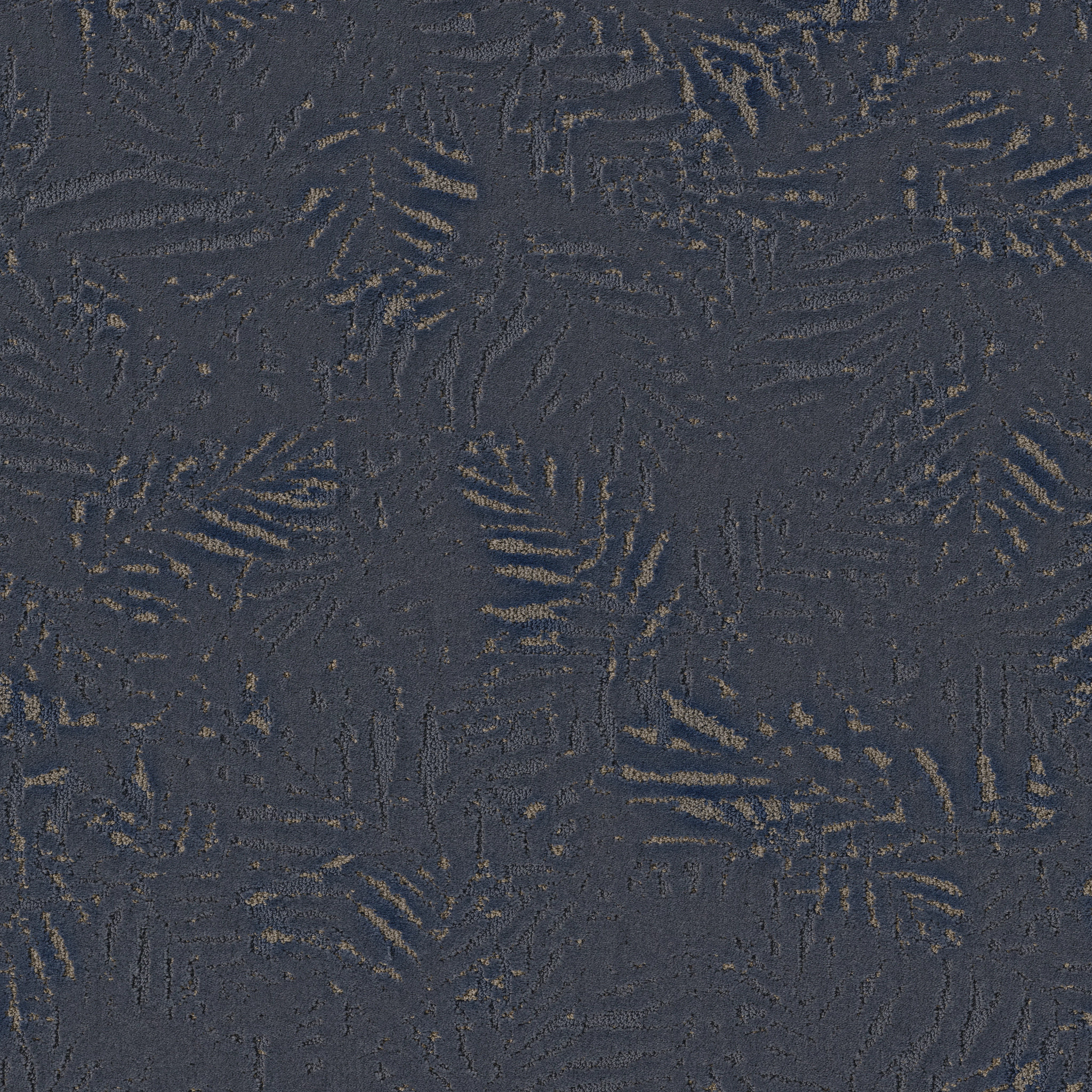 AUTOGRAPH STARRY SKY MAIN