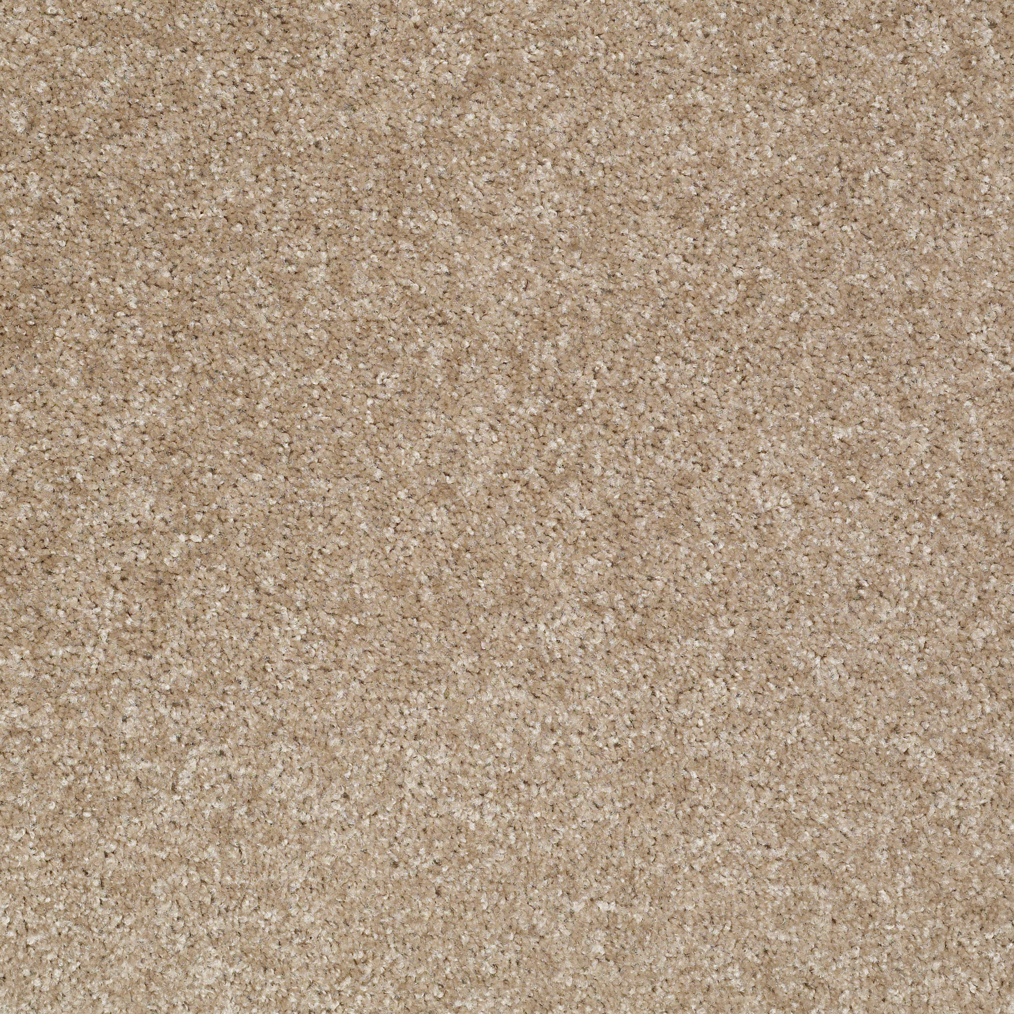 ROSE CREEK SOFT SUEDE MAIN