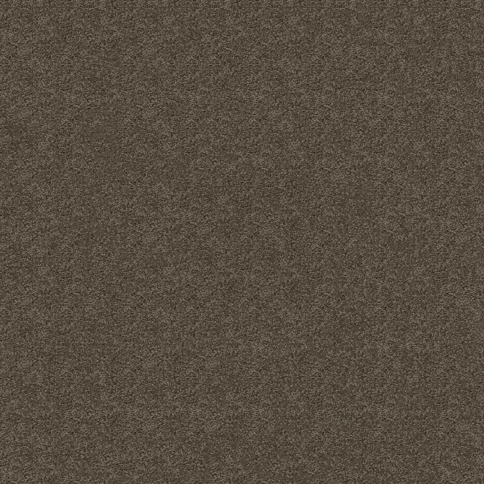 IDLE-TIME-54836-MINK-00753-main-image