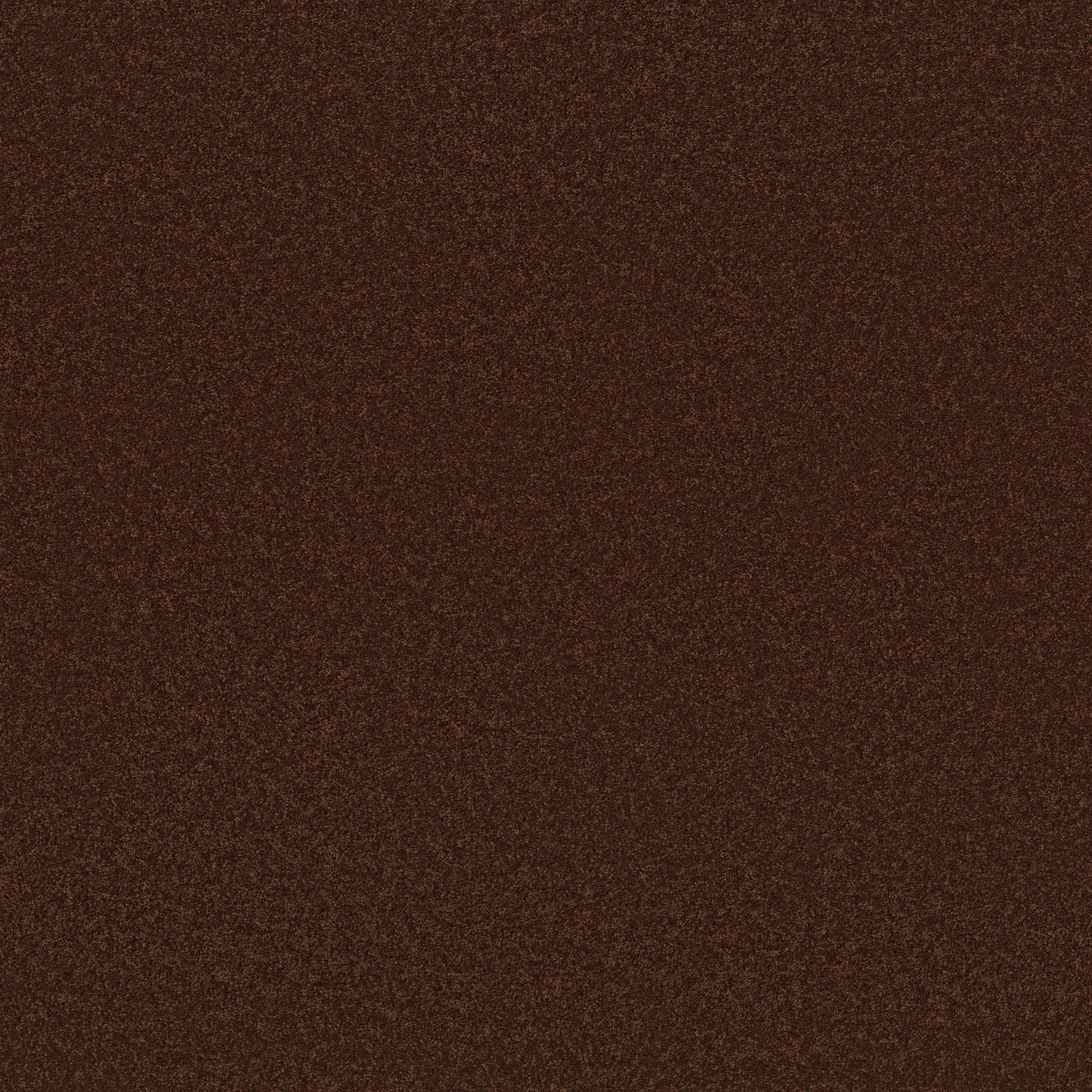 ELEGANT BEAUTY CINNABAR MAIN