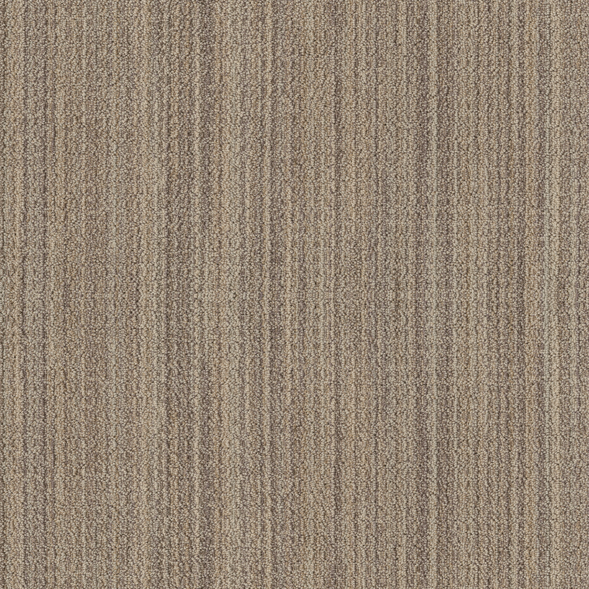 SUNDANCE WILD OATS MAIN