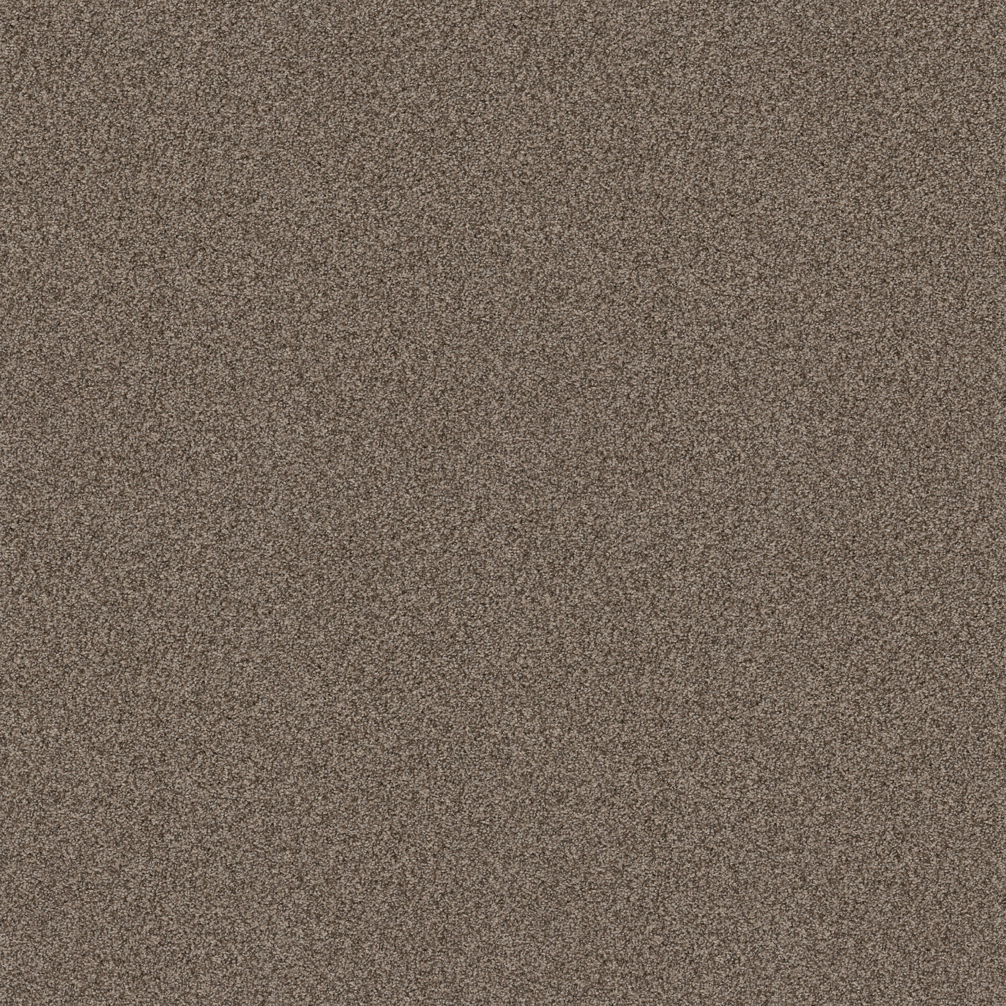 BOSSA NOVA PALM DESERT MAIN