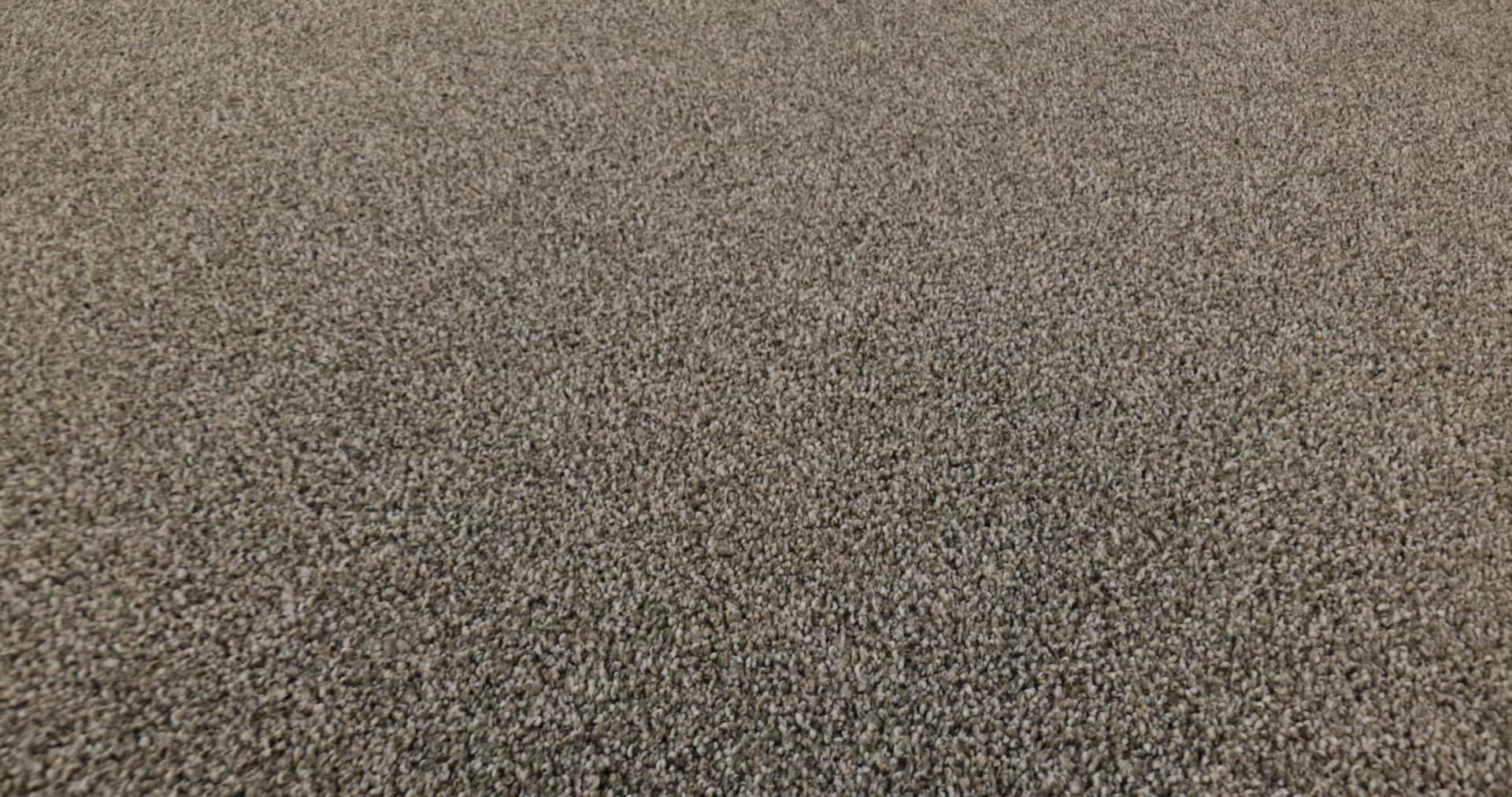 TIMELESS TONE OLIVE TREE 360PROD