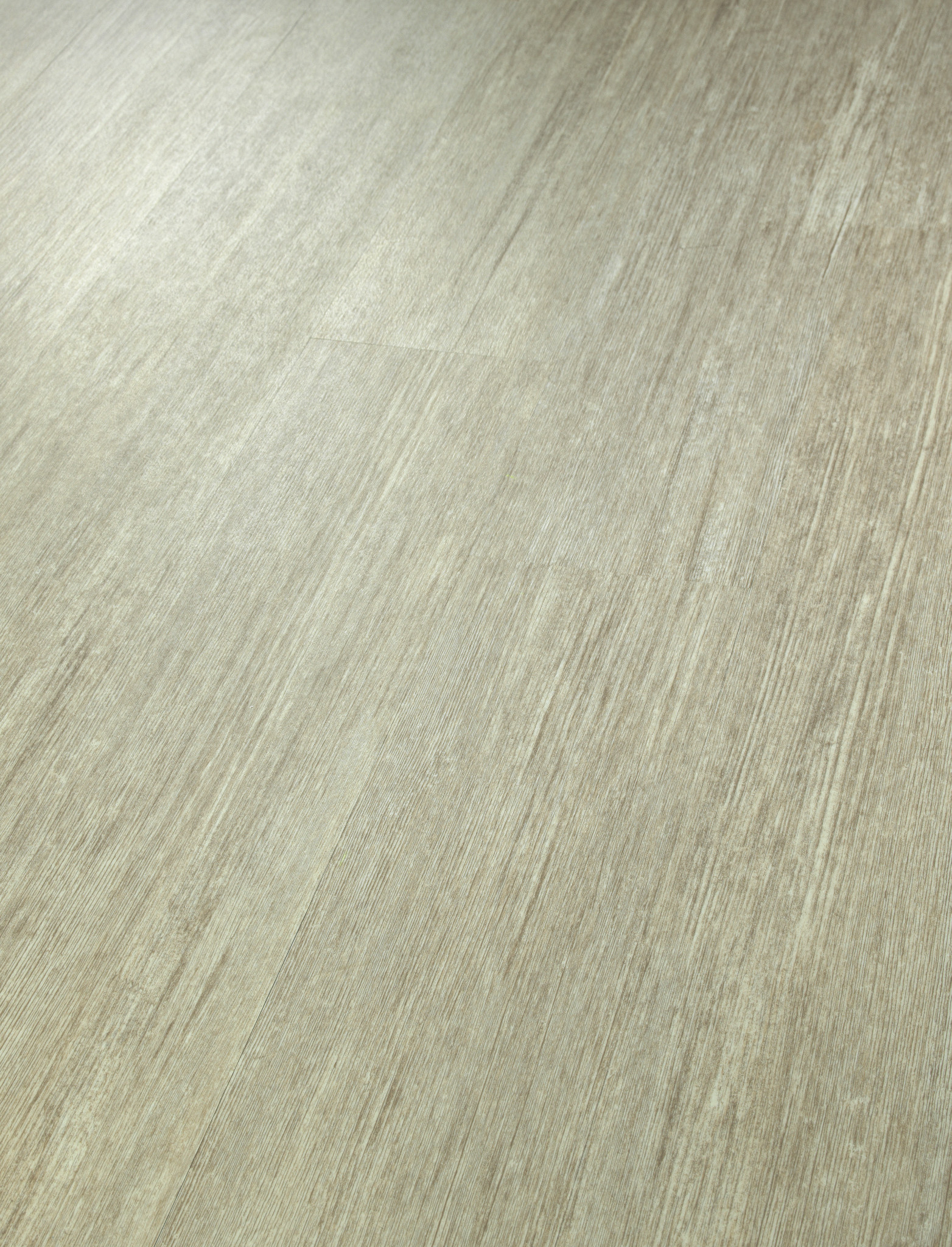 Tivoli Plus - in Pecorino | Shaw Floors