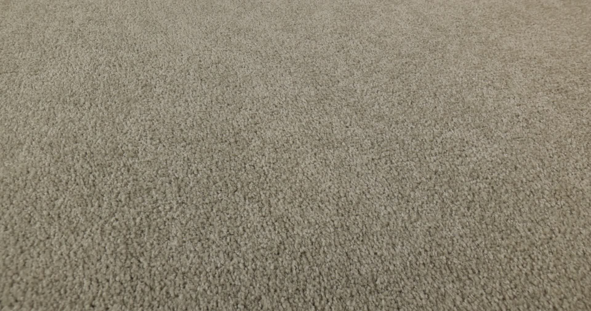 MAJORITY RULES COASTAL FOG 360PROD