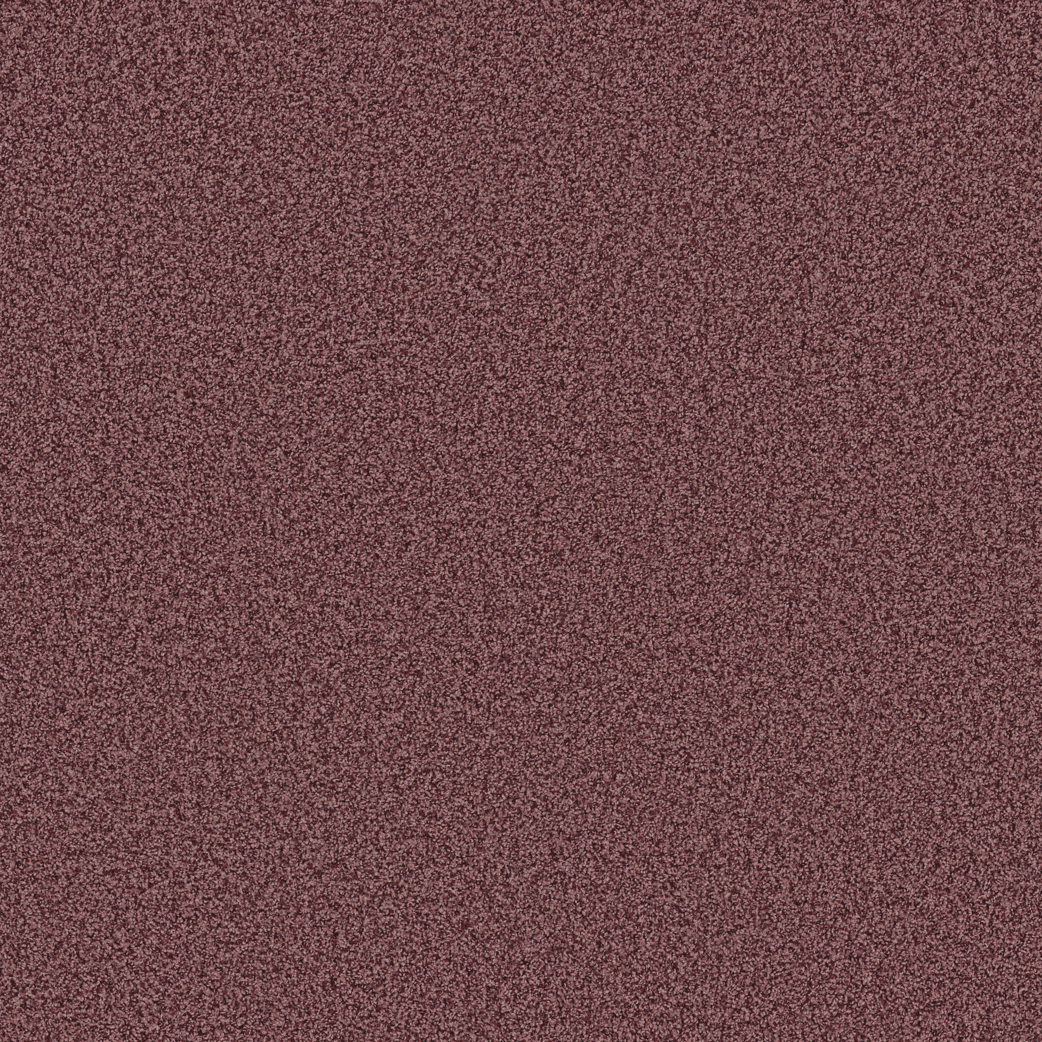 BELLA NOVA TUSCANY MAIN