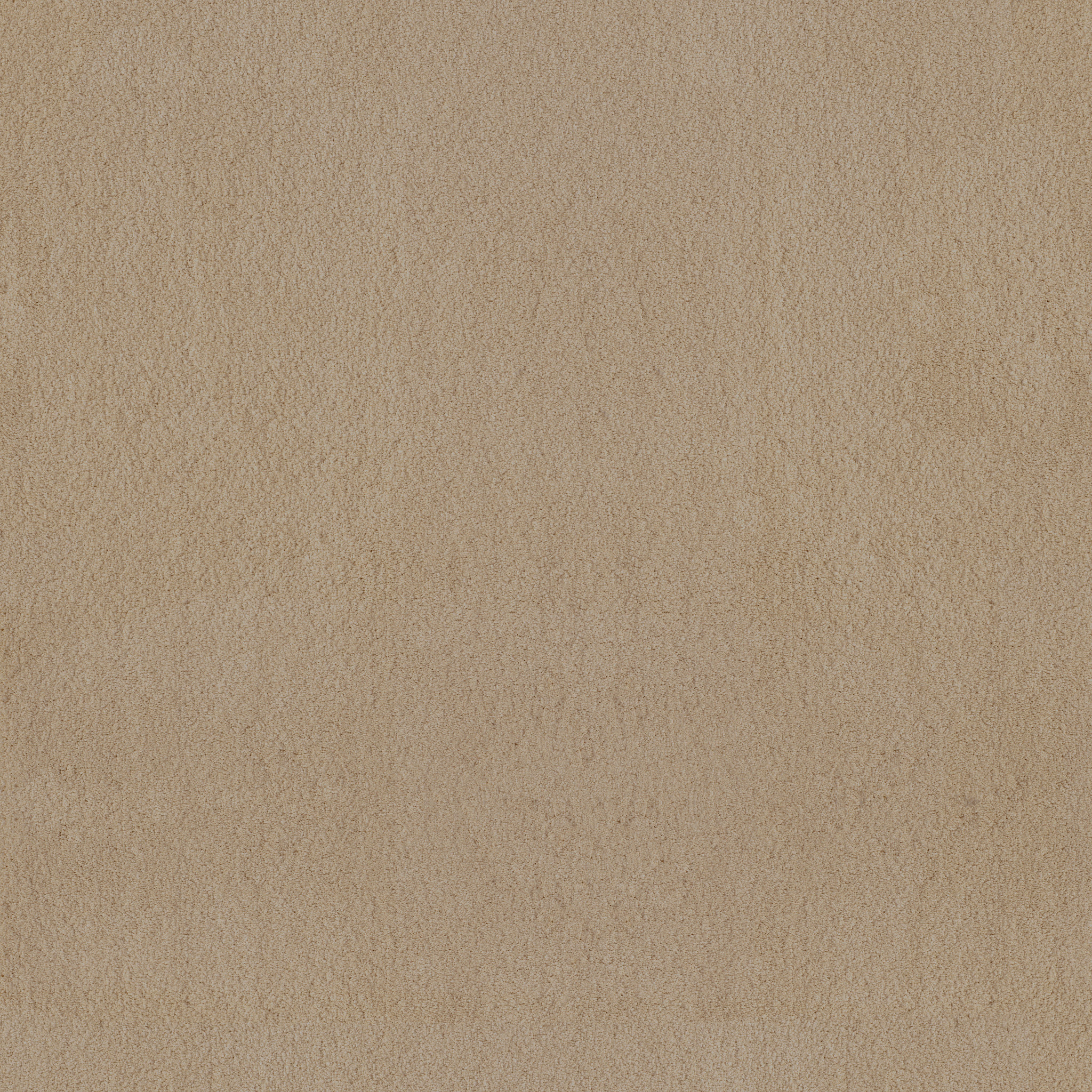 LUXE FEEL II GENTLE DOE MAIN