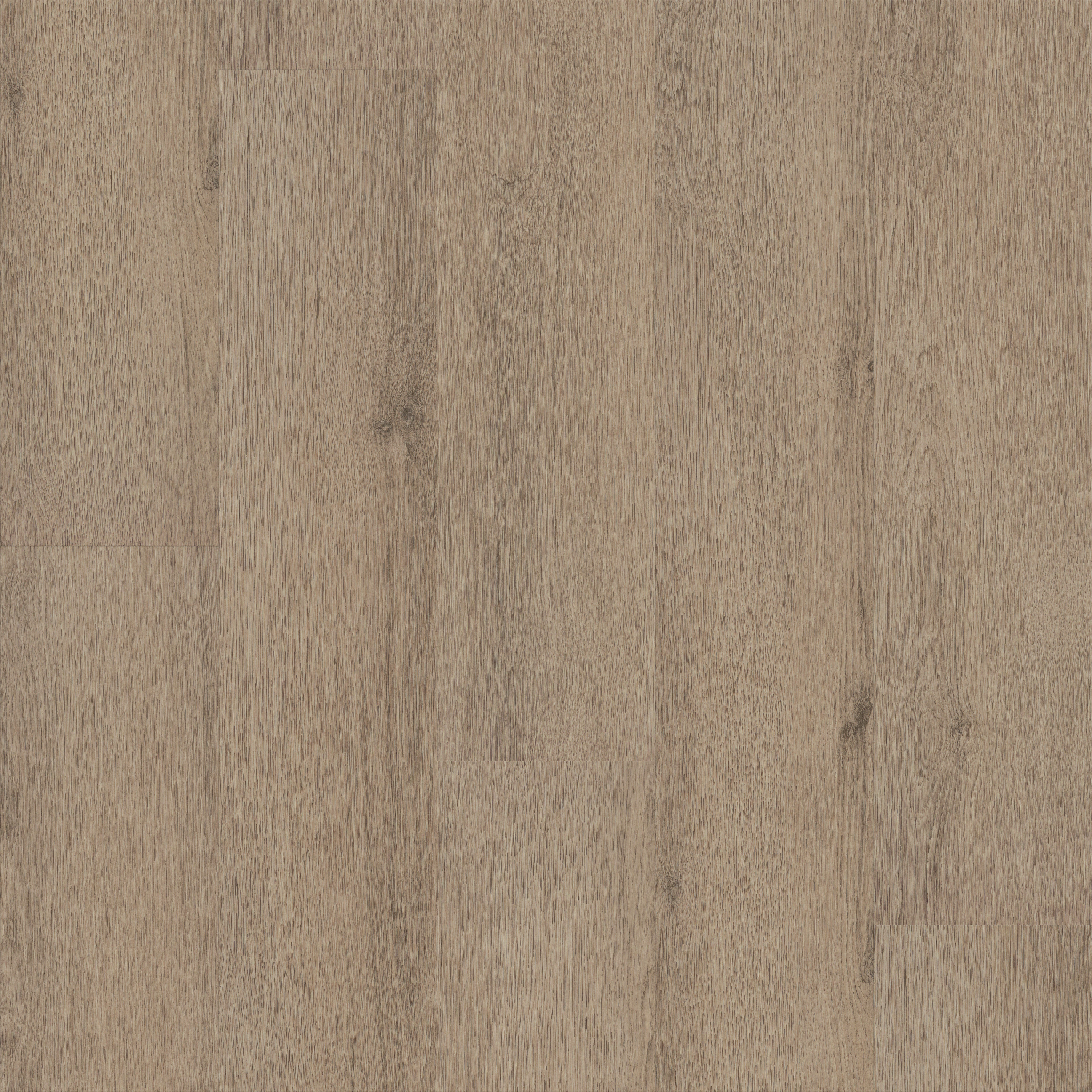 INDWELL-II-12-5722V-HAZELWOOD-07312-main-image