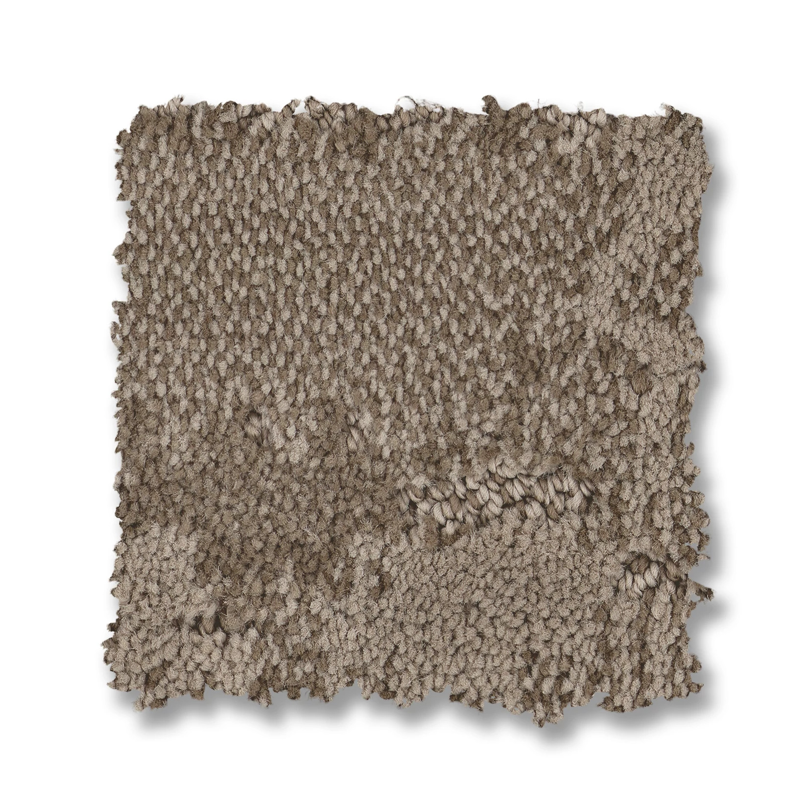 ARBOR DRIFTWOOD SWATCH