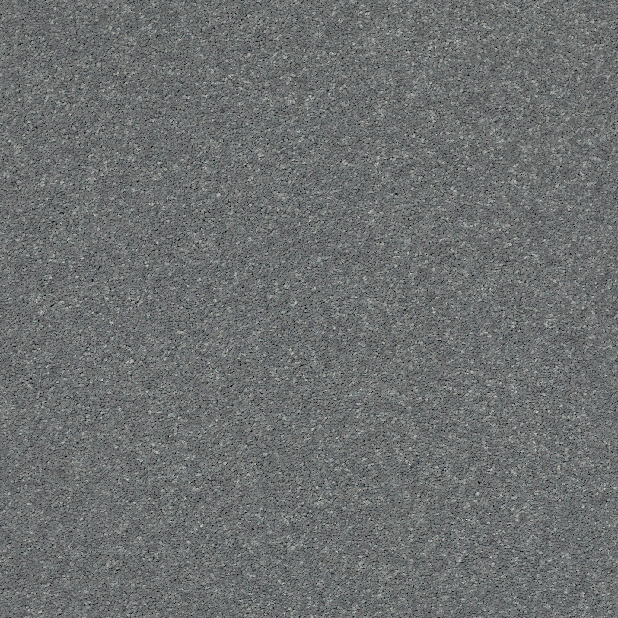 WELL GROUNDED II 15 CONCRETE MAIN