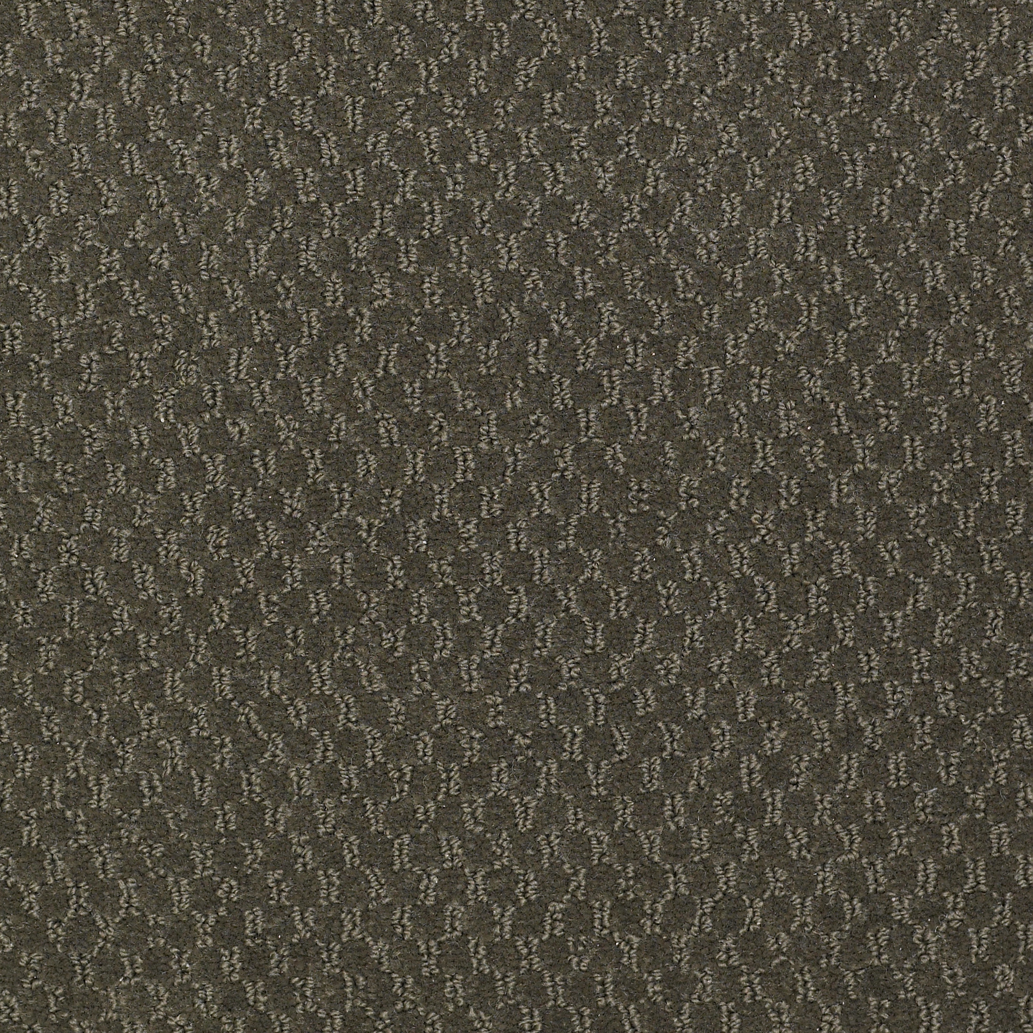 LATEST-TREND-54098-LILY-POND-98303-main-image