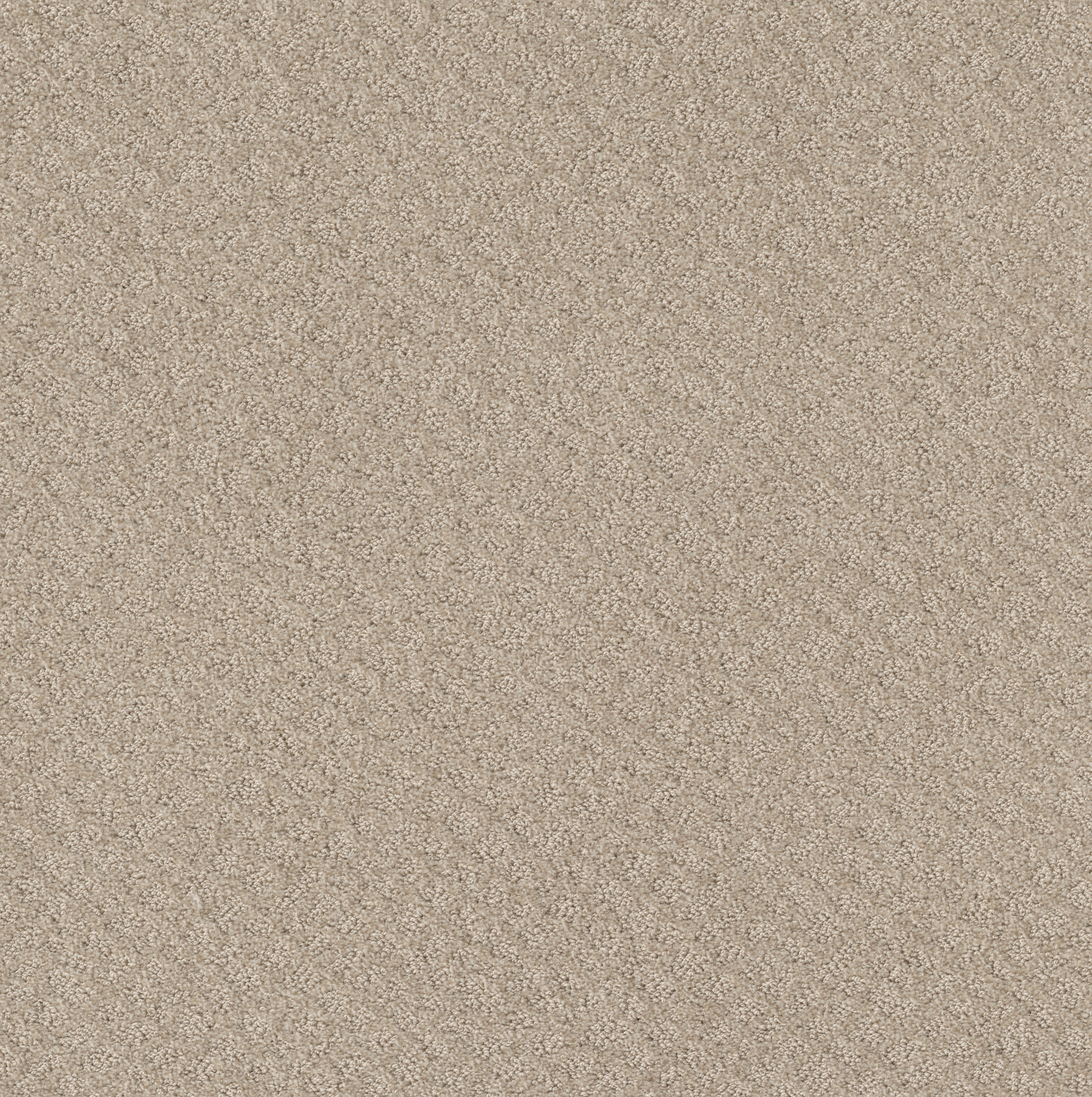 CHIC SHADES BUTTER CREAM MAIN