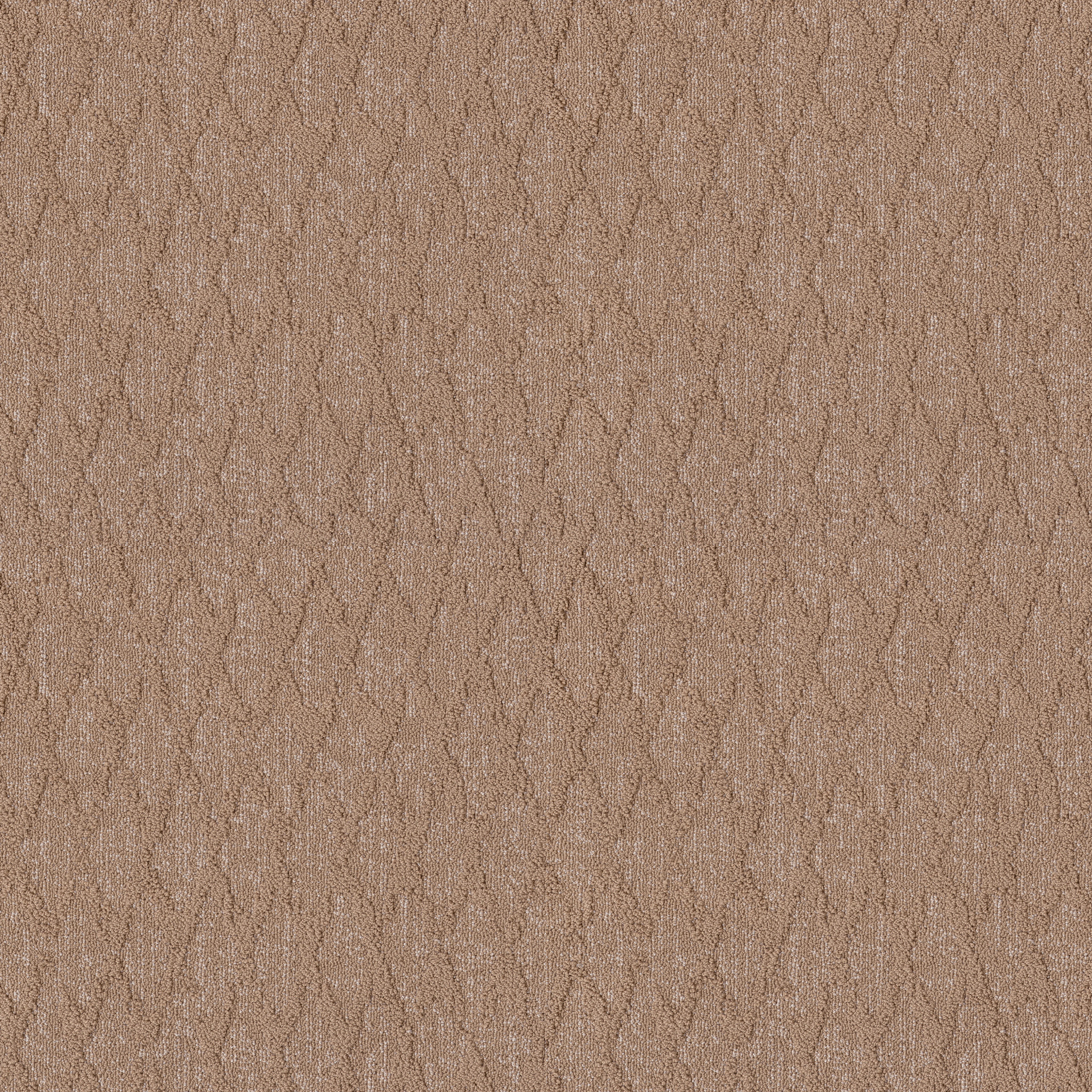 ILLUMINATION GLAMOROUS MAIN