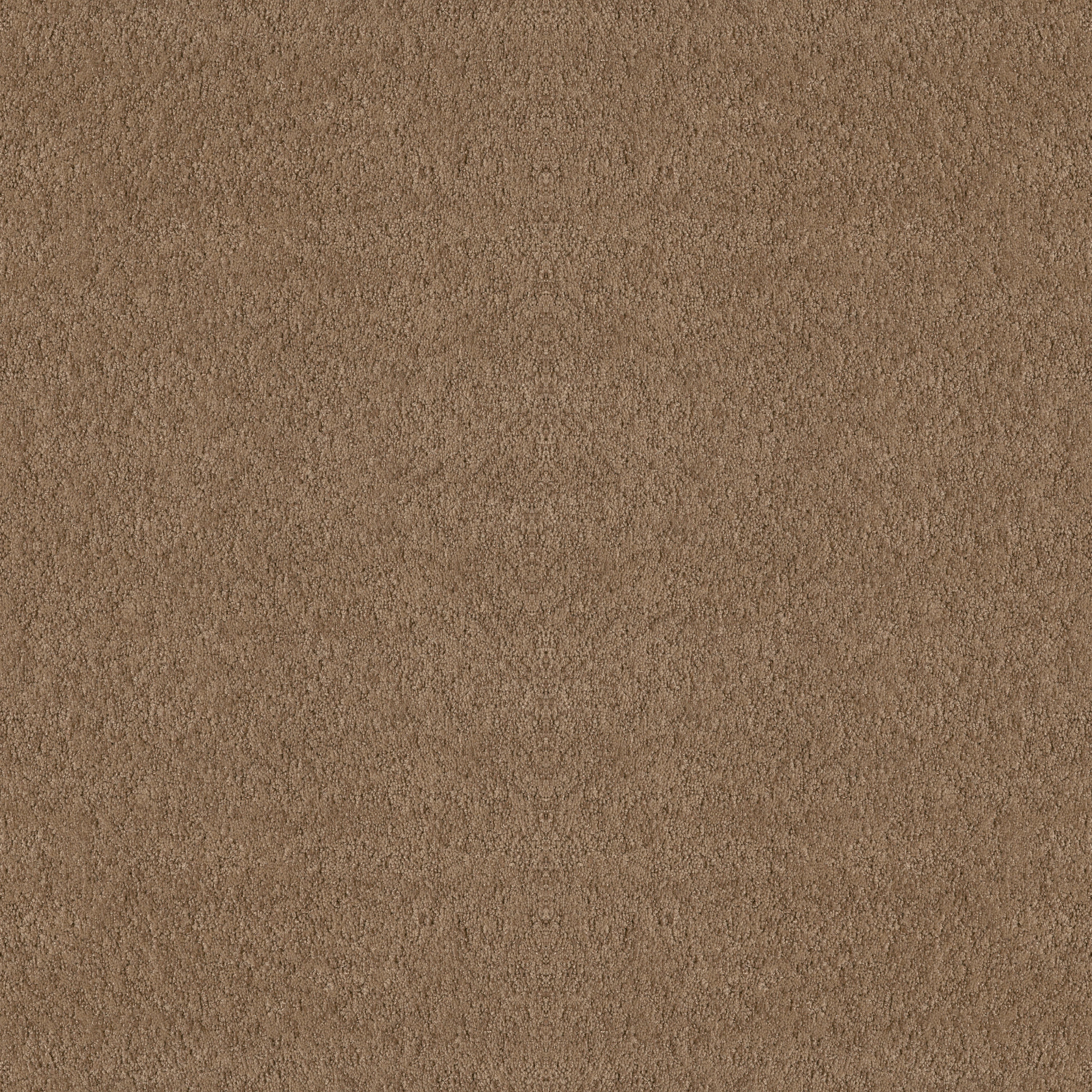 ALLURING CANVAS RAW WOOD MAIN