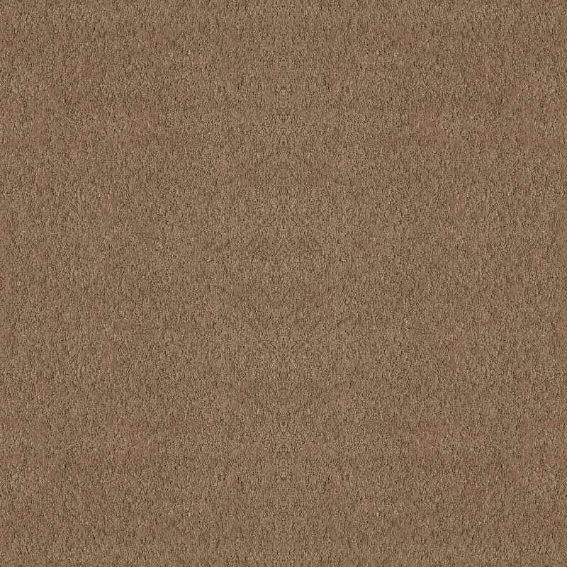 Alluring Canvas 5E445