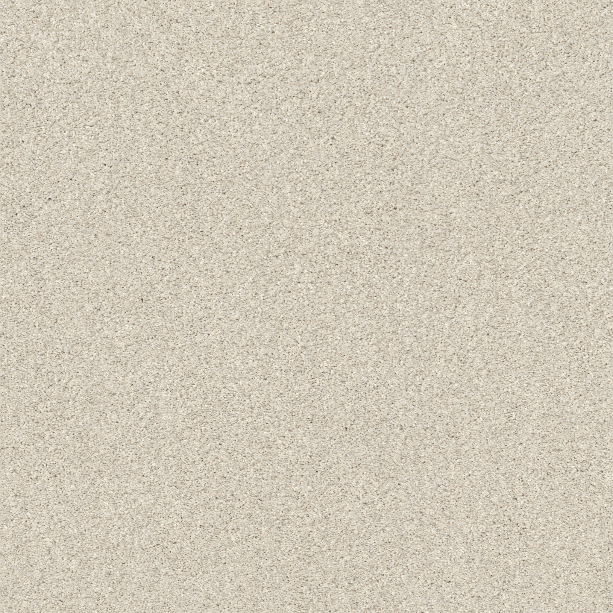 COZY HARBOR II DELICATE CREAM MAIN