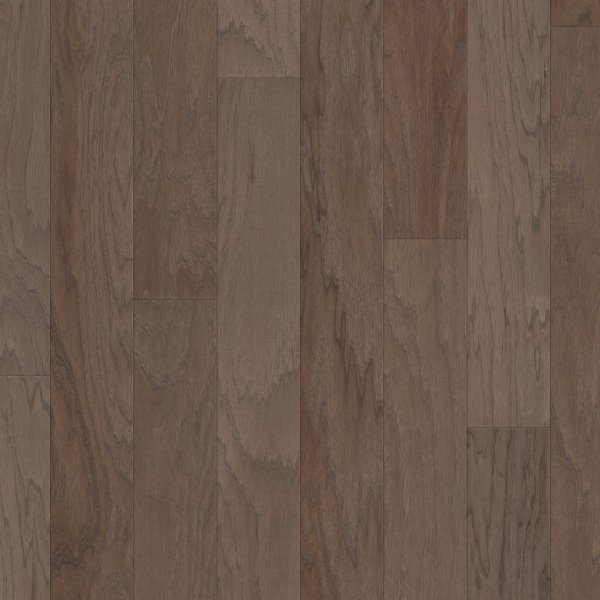 激レア　GLAY Hi-5surreal153cm sunboard ZX153 (old Z805S) Maple Interior Film - Rich Wood Collection