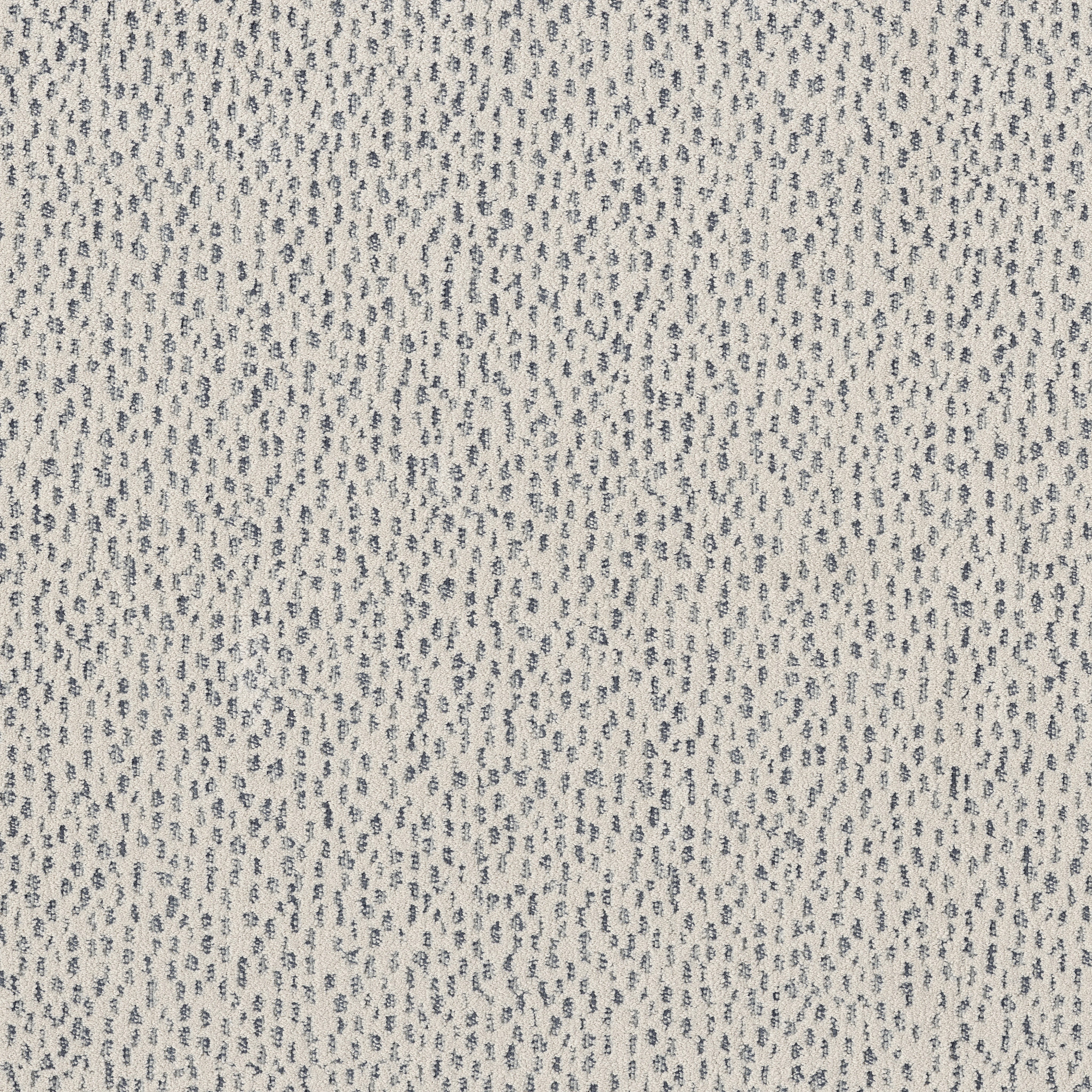 AMBITIOUS SERENITY MAIN