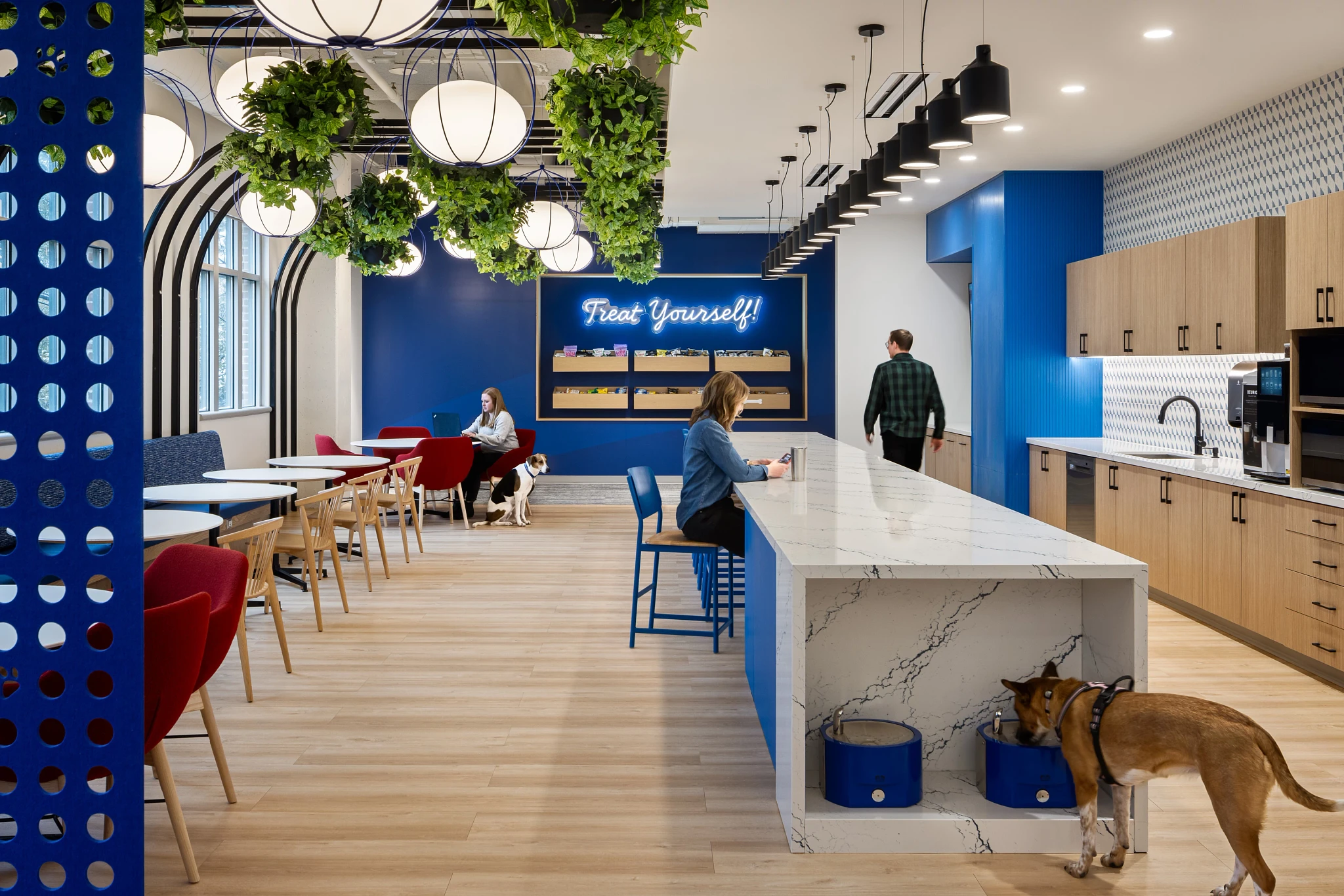 Modern workplace kitchen with light wood flooring, blue and red seating, and greenery accents
