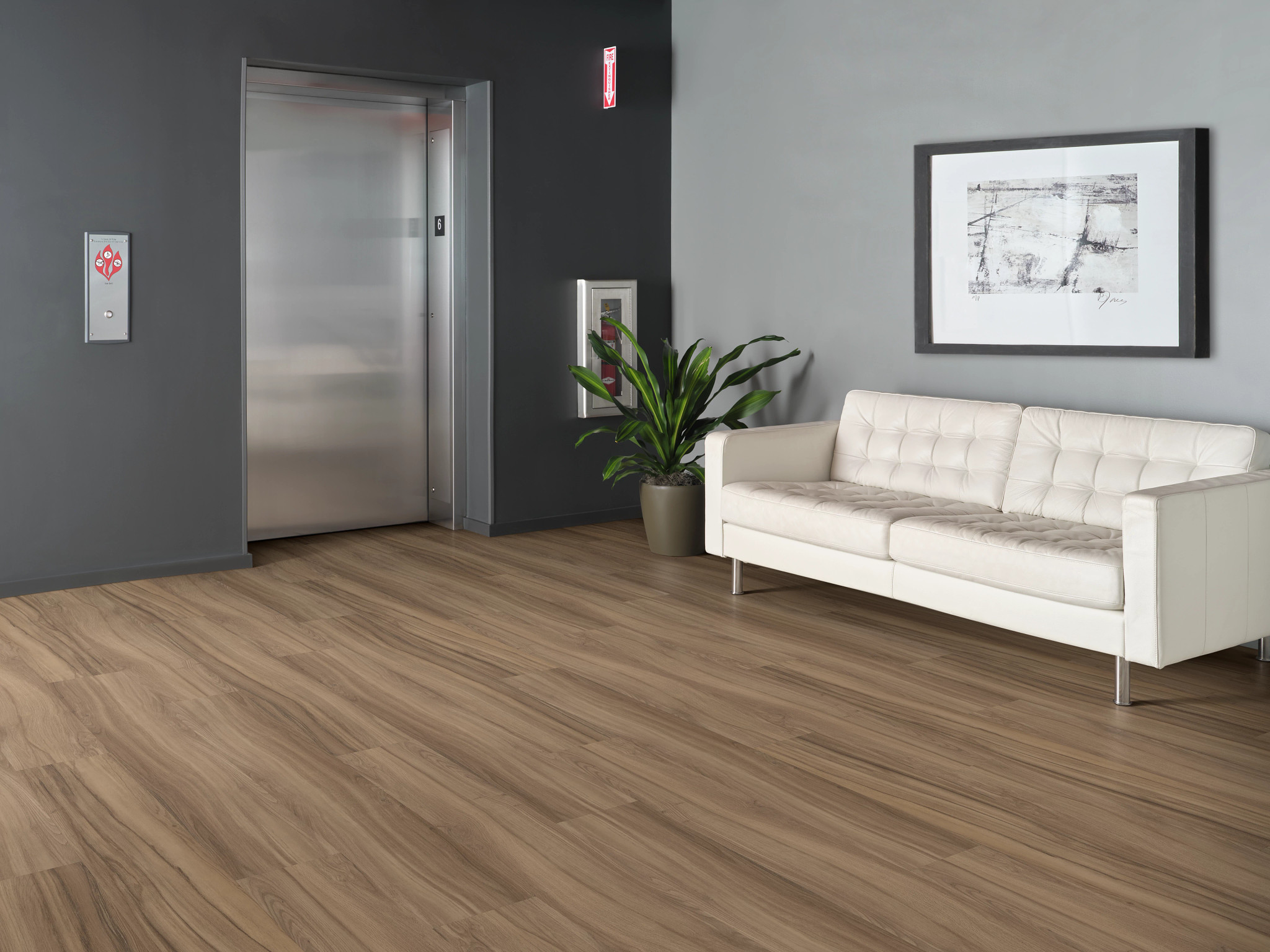 REWILD-5667V-DELIGHT-00708-room-image