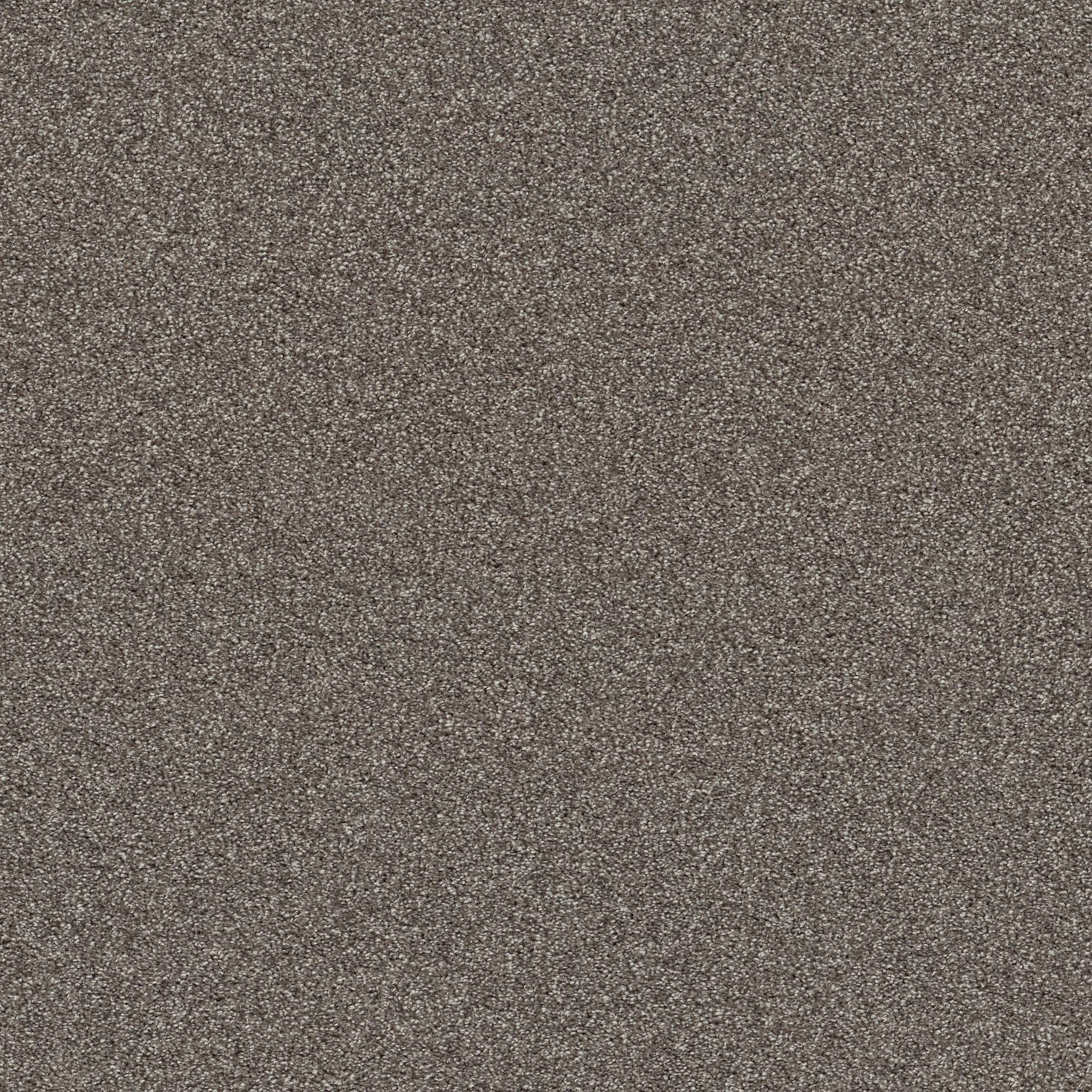 Affirmation I by Shaw Floors