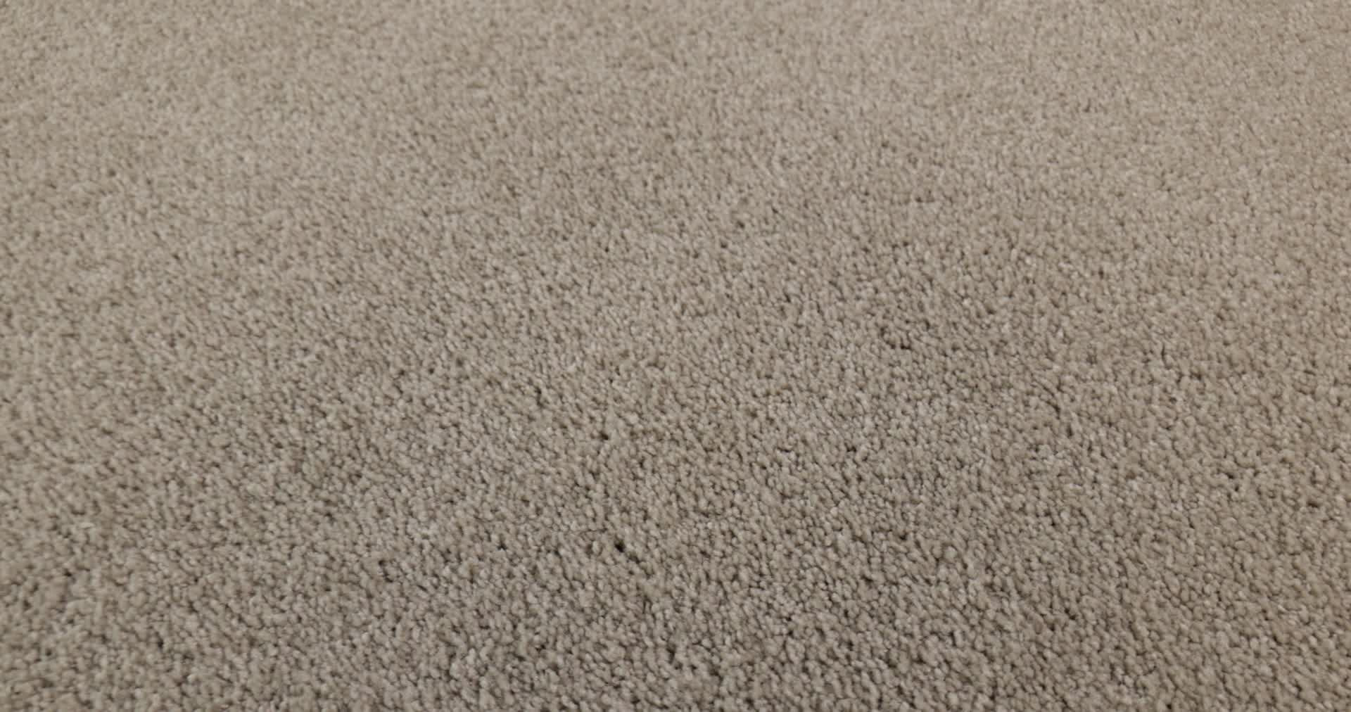 BEAUTIFULLY SIMPLE GREIGE 360PROD