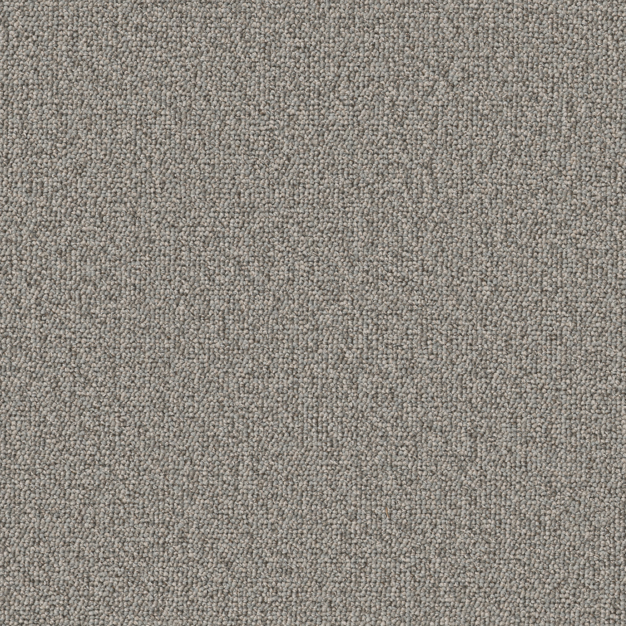 AVENUE-54989-LINDEN-00503-main-image