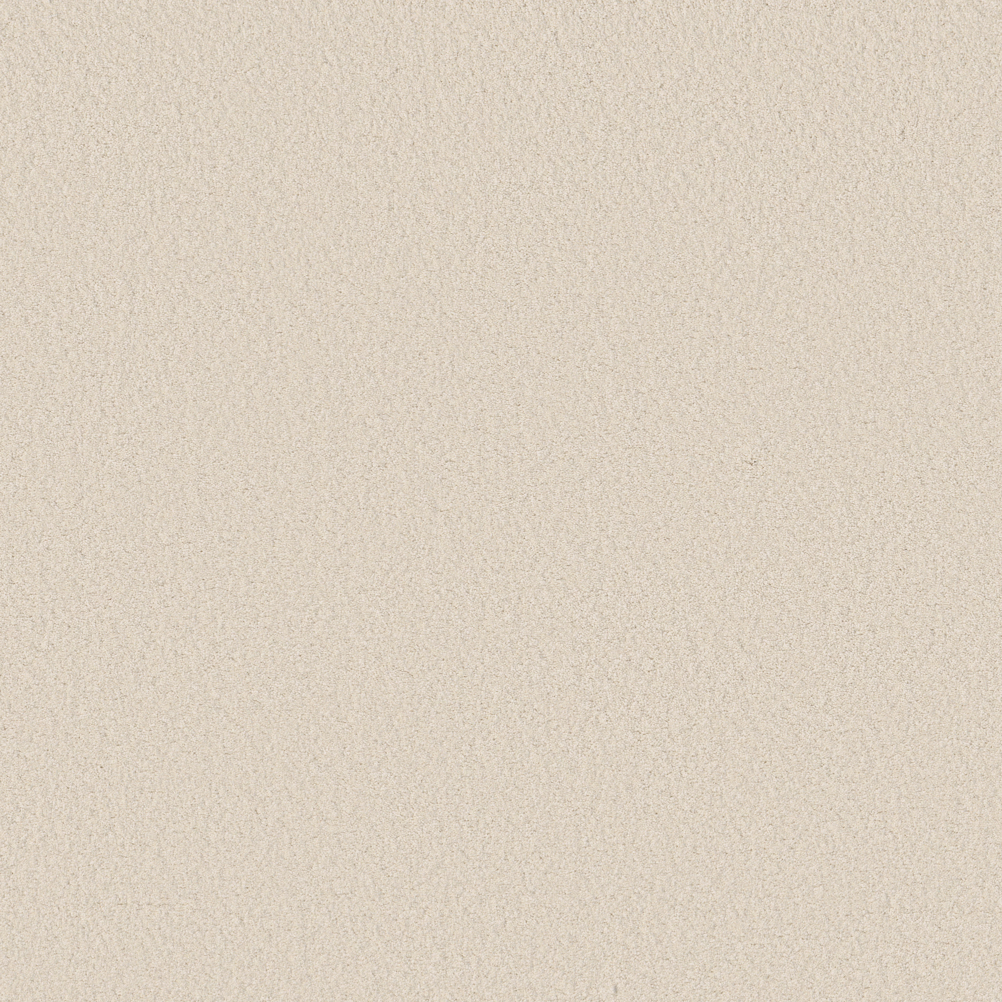 ELEGANT BEAUTY CLOUD MAIN