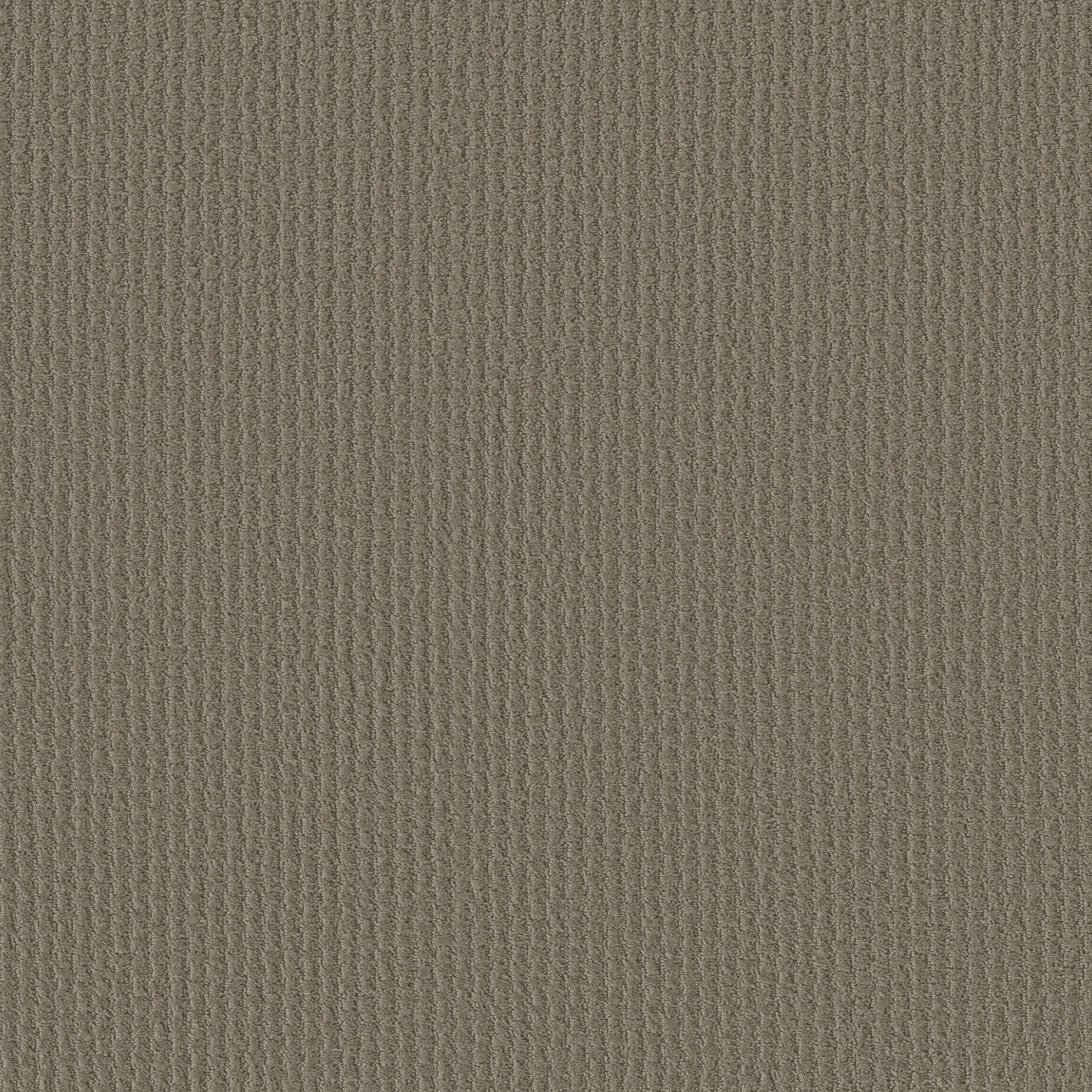 COMPLETE CONTROL ABBEY STONE MAIN