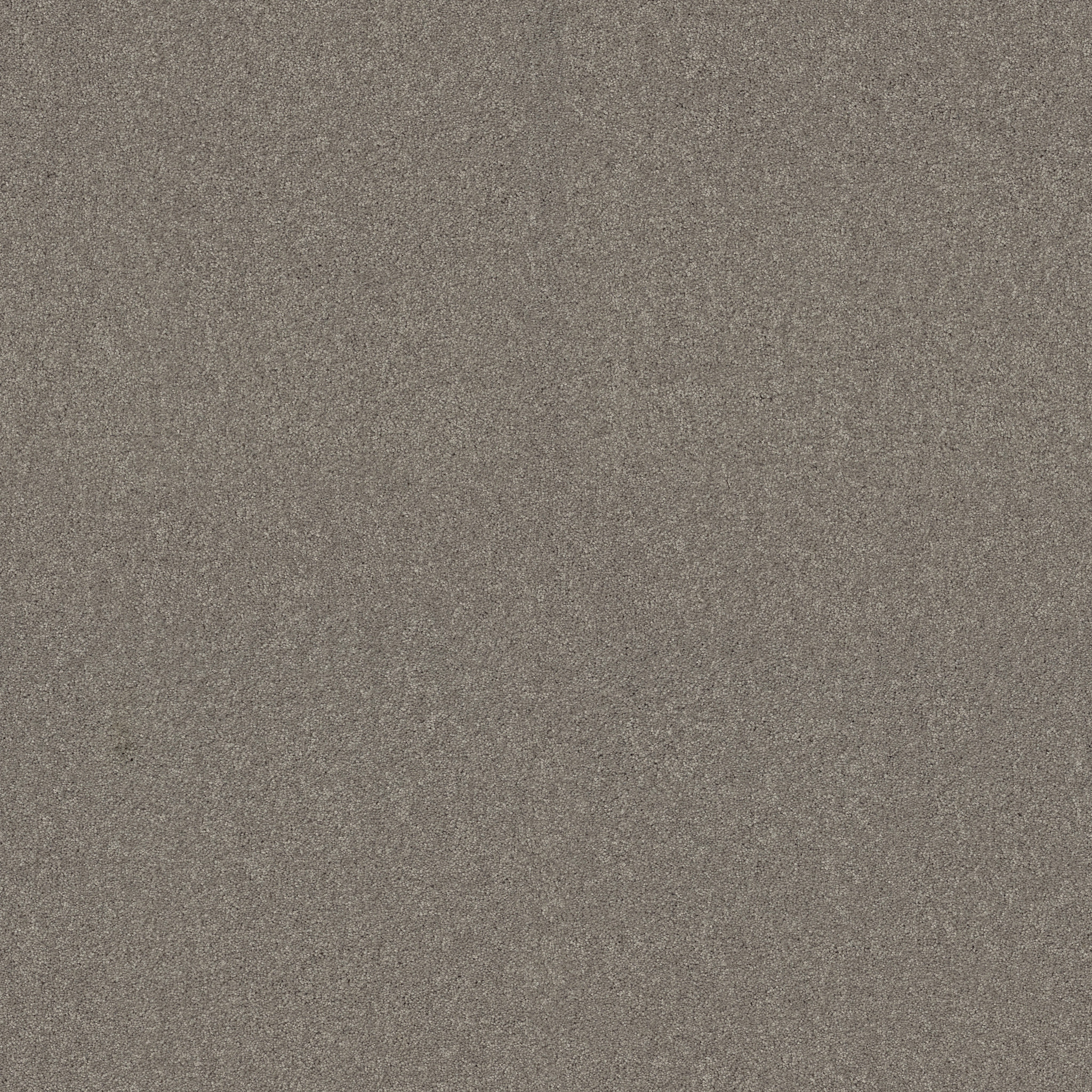 MAJORITY RULES RADIANCE MAIN